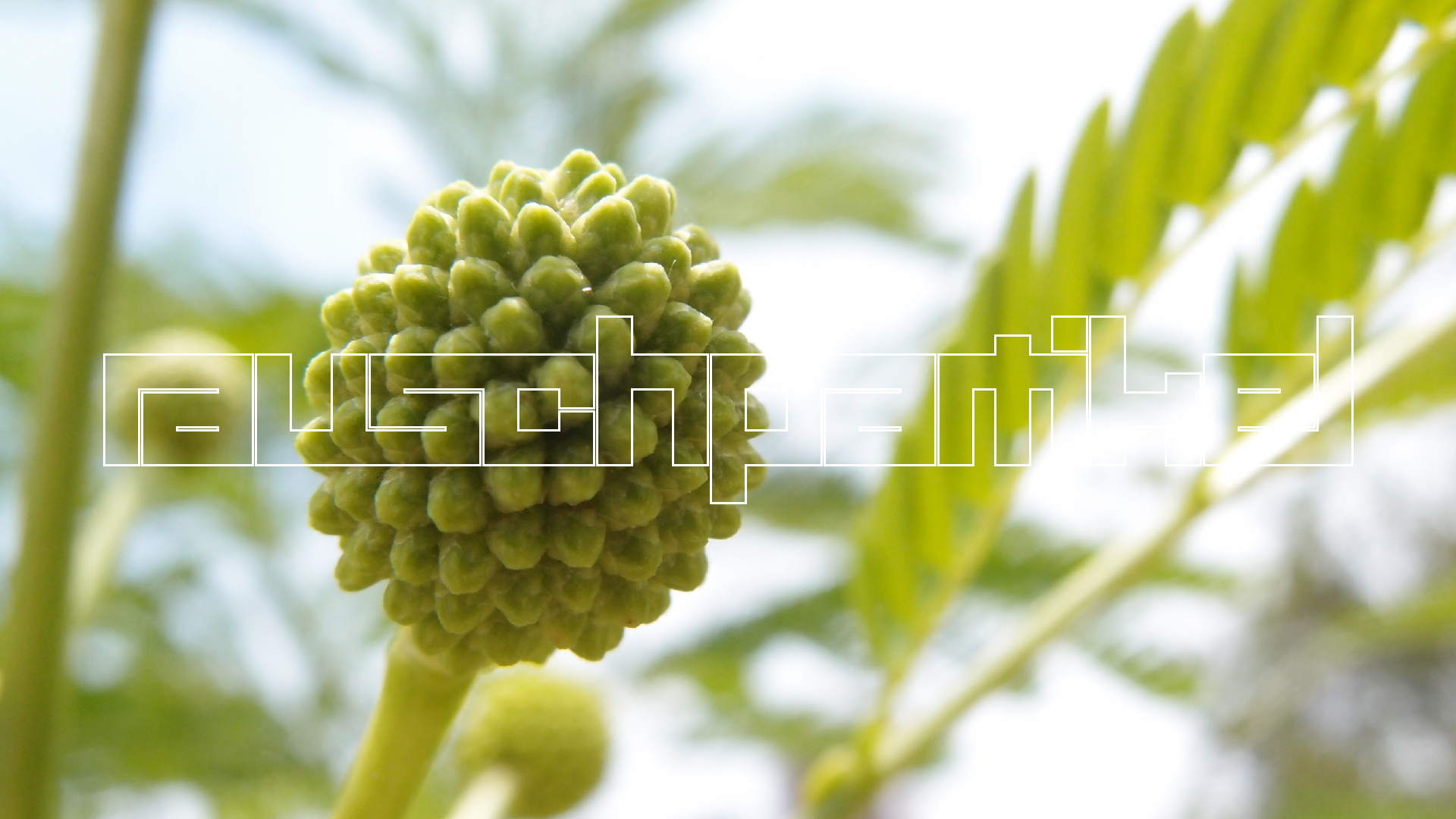 2022-04-25 Cas Abao (Foto)