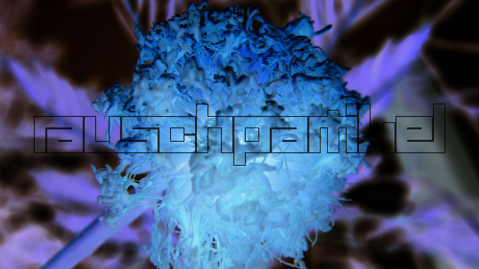 2022-04-25 Cas Abao (Foto)