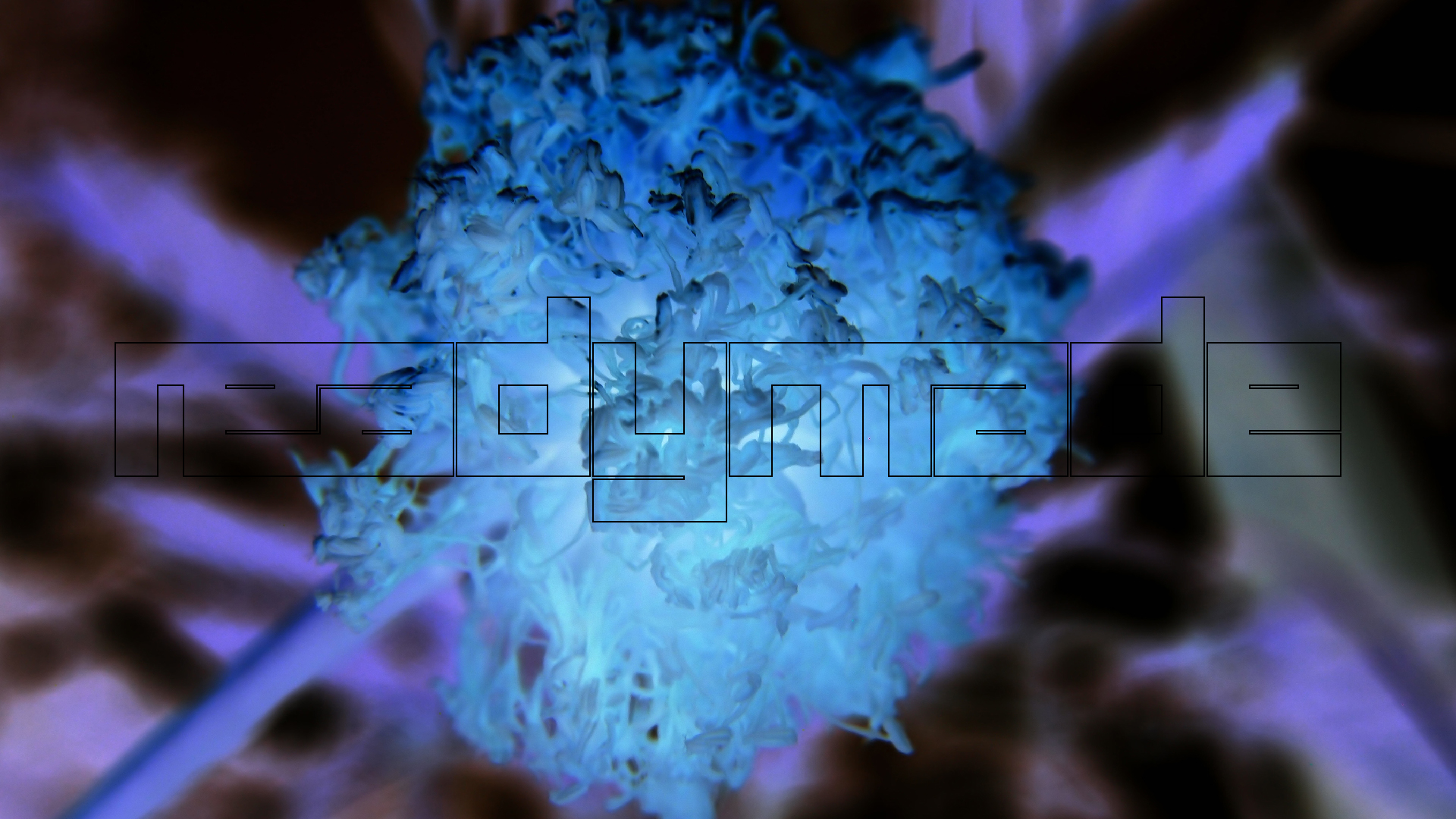 2022-04-25 Cas Abao (Foto)