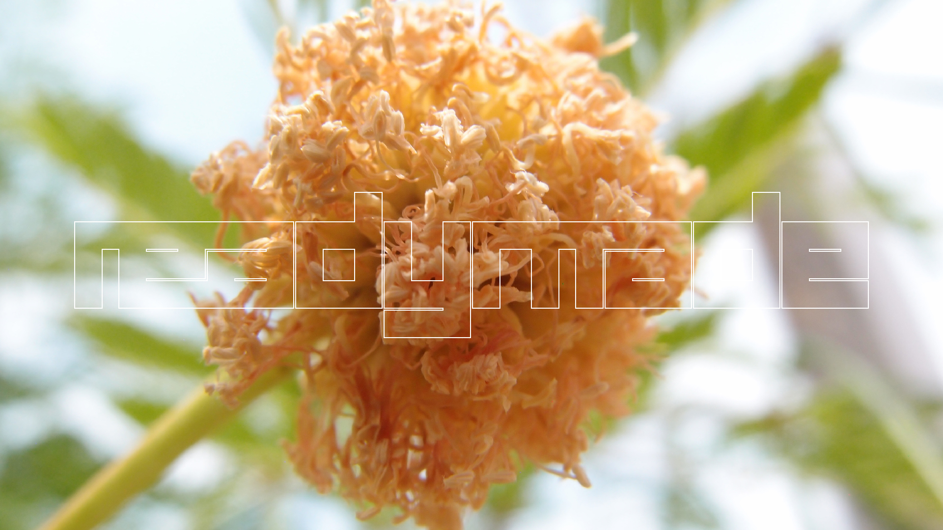 2022-04-25 Cas Abao (Foto)