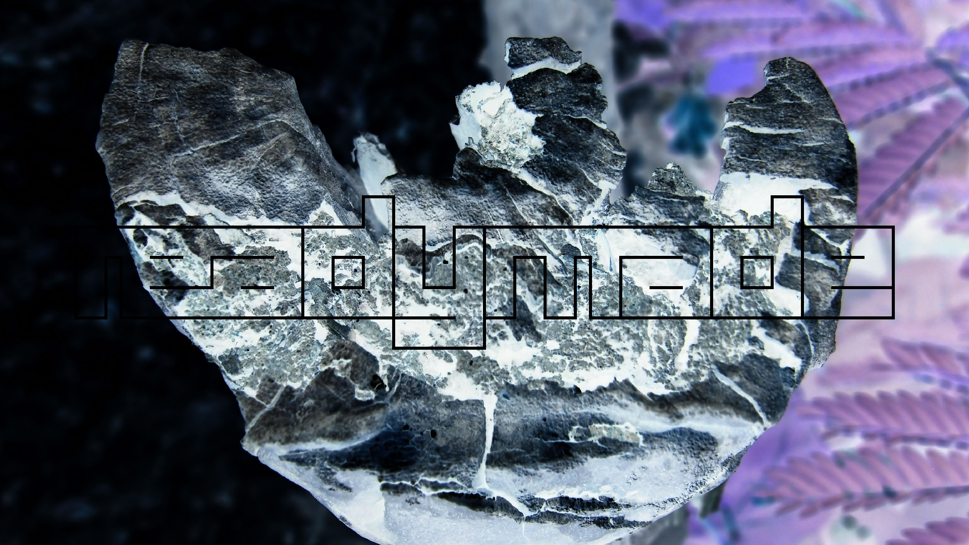 2022-04-25 Cas Abao (Foto)