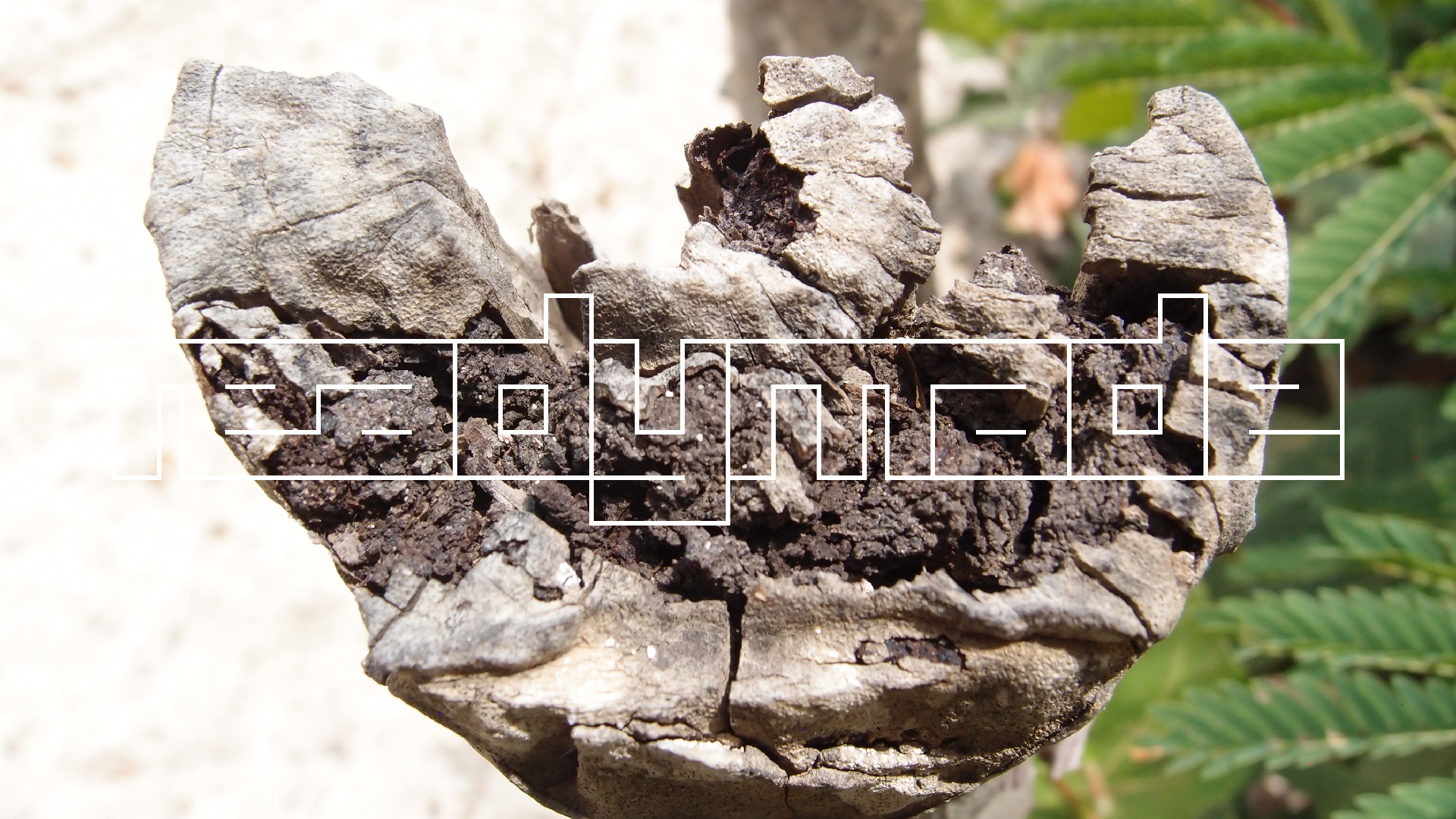 2022-04-25 Cas Abao (Foto)