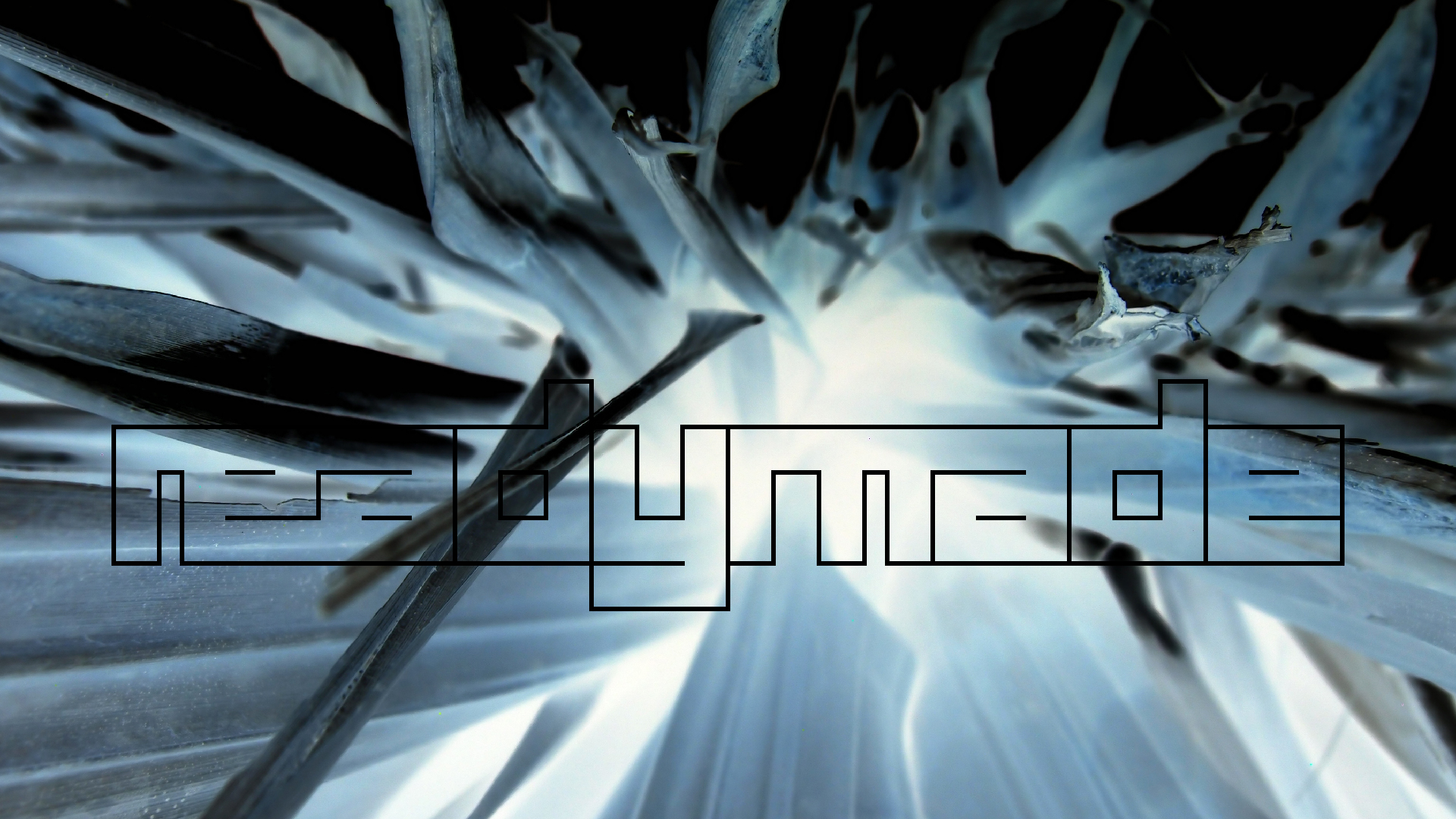 2022-04-25 Cas Abao (Foto)