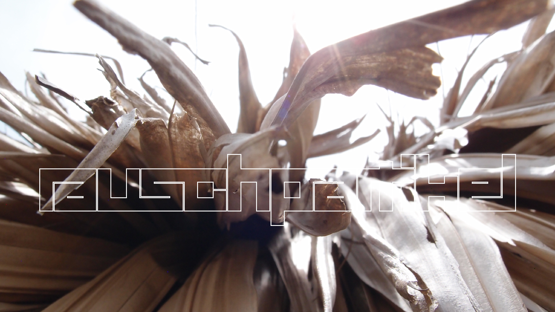 2022-04-25 Cas Abao (Foto)