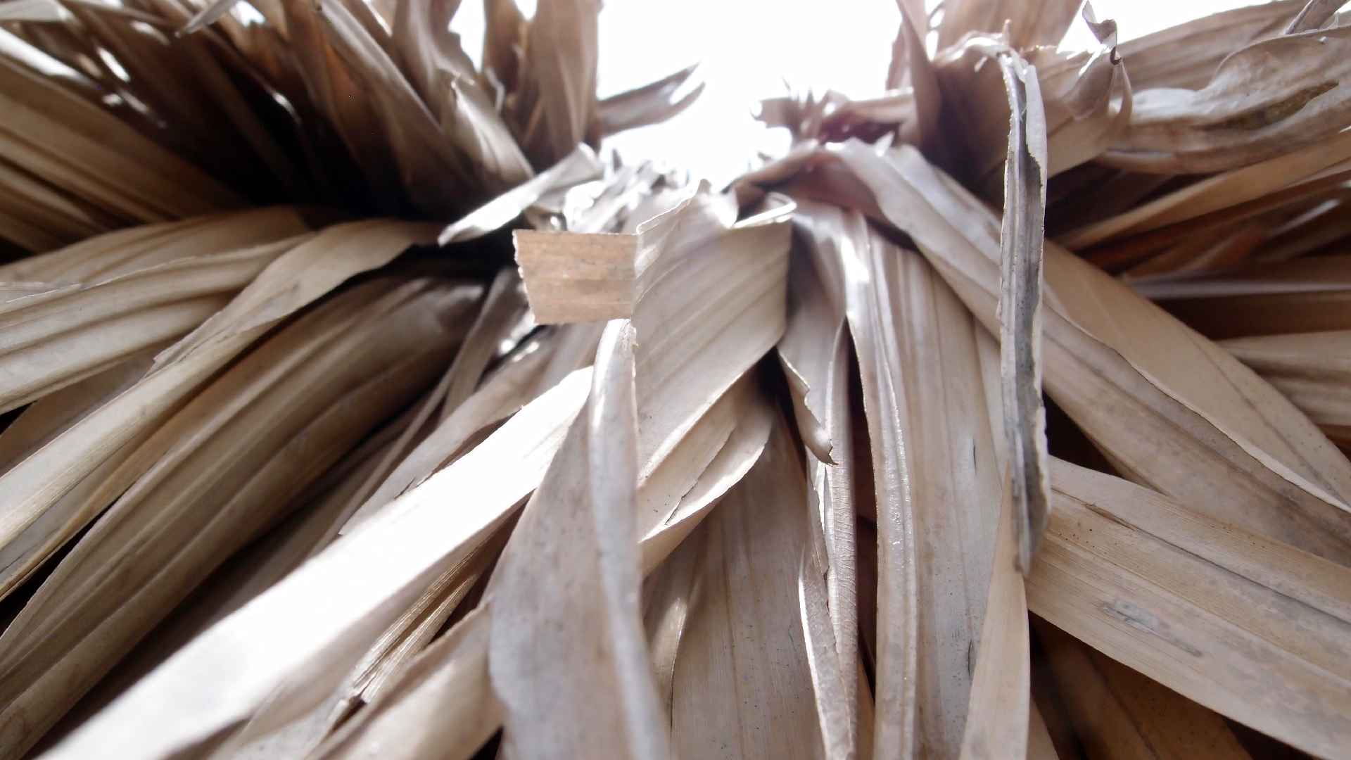 2022-04-25 Cas Abao (Foto)