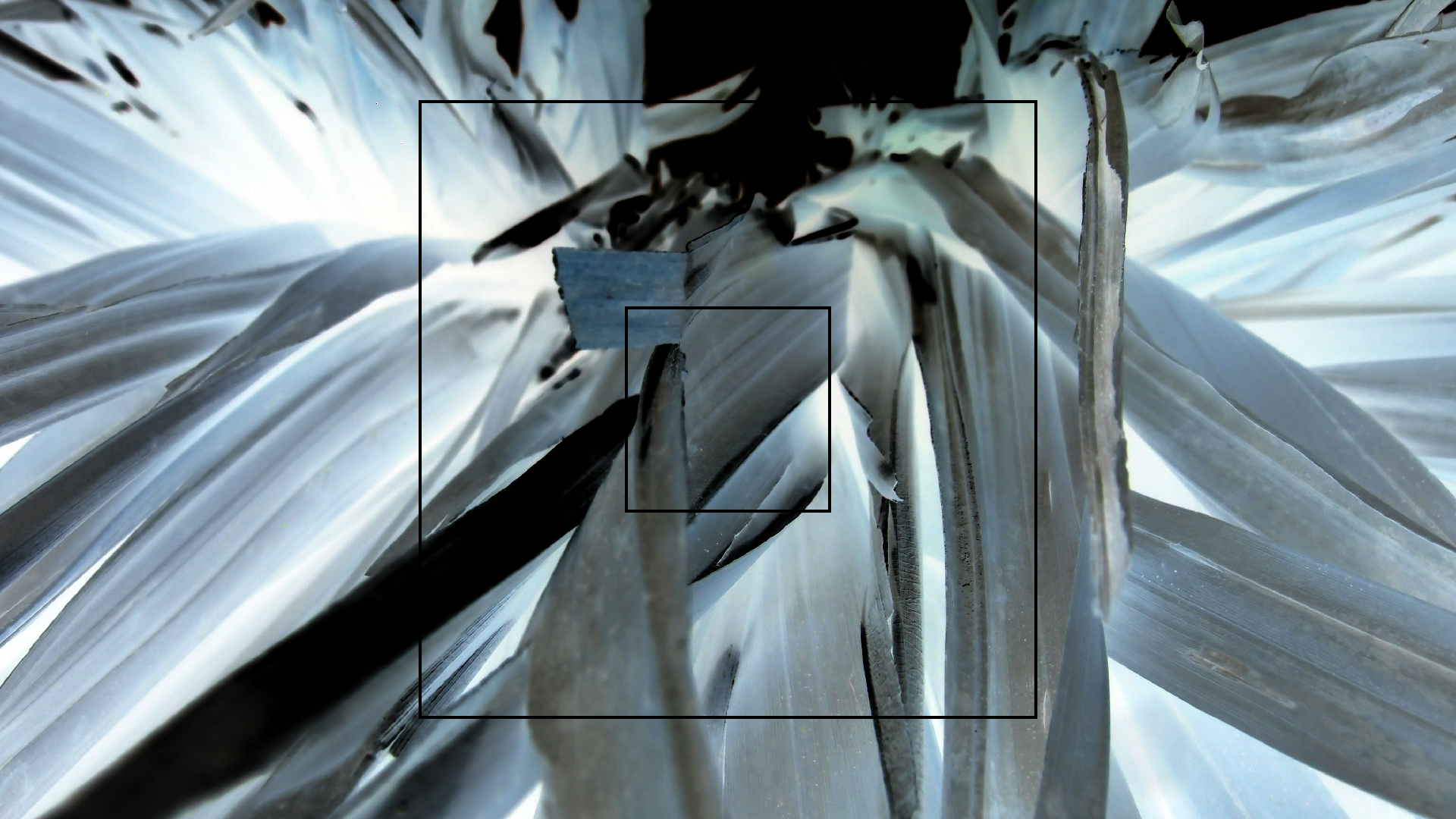 2022-04-25 Cas Abao (Foto)