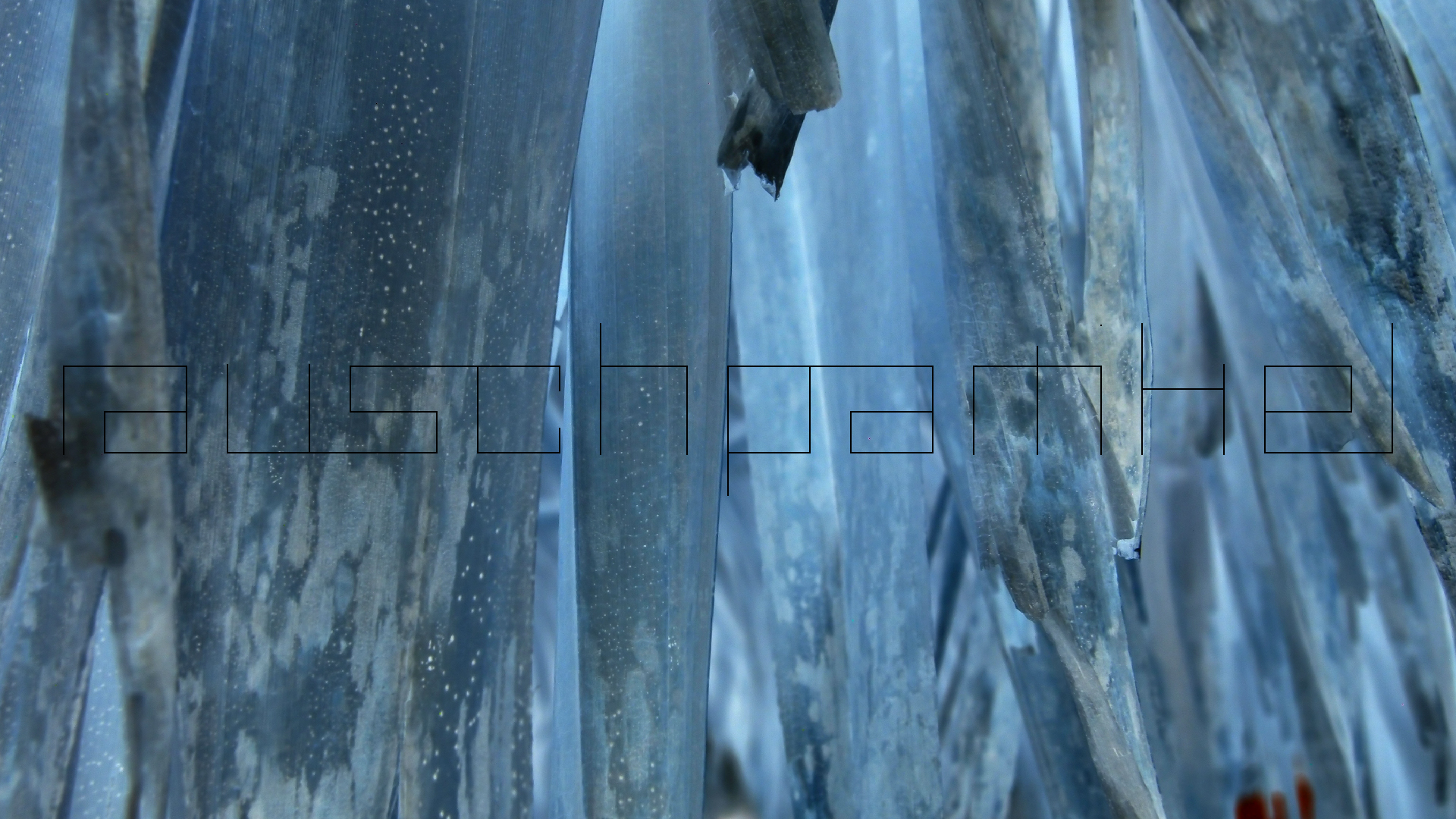 2022-04-25 Cas Abao (Foto)