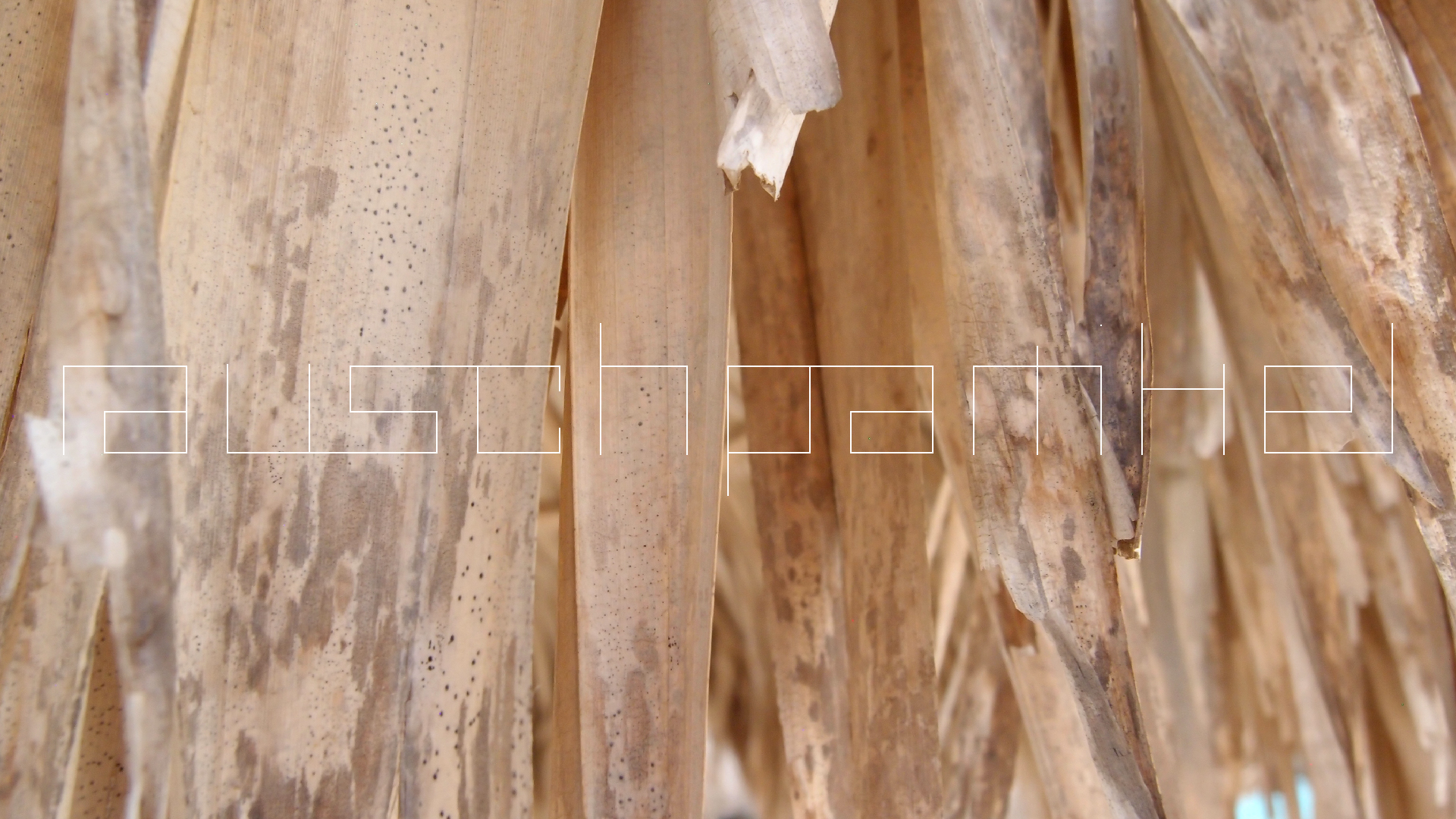 2022-04-25 Cas Abao (Foto)