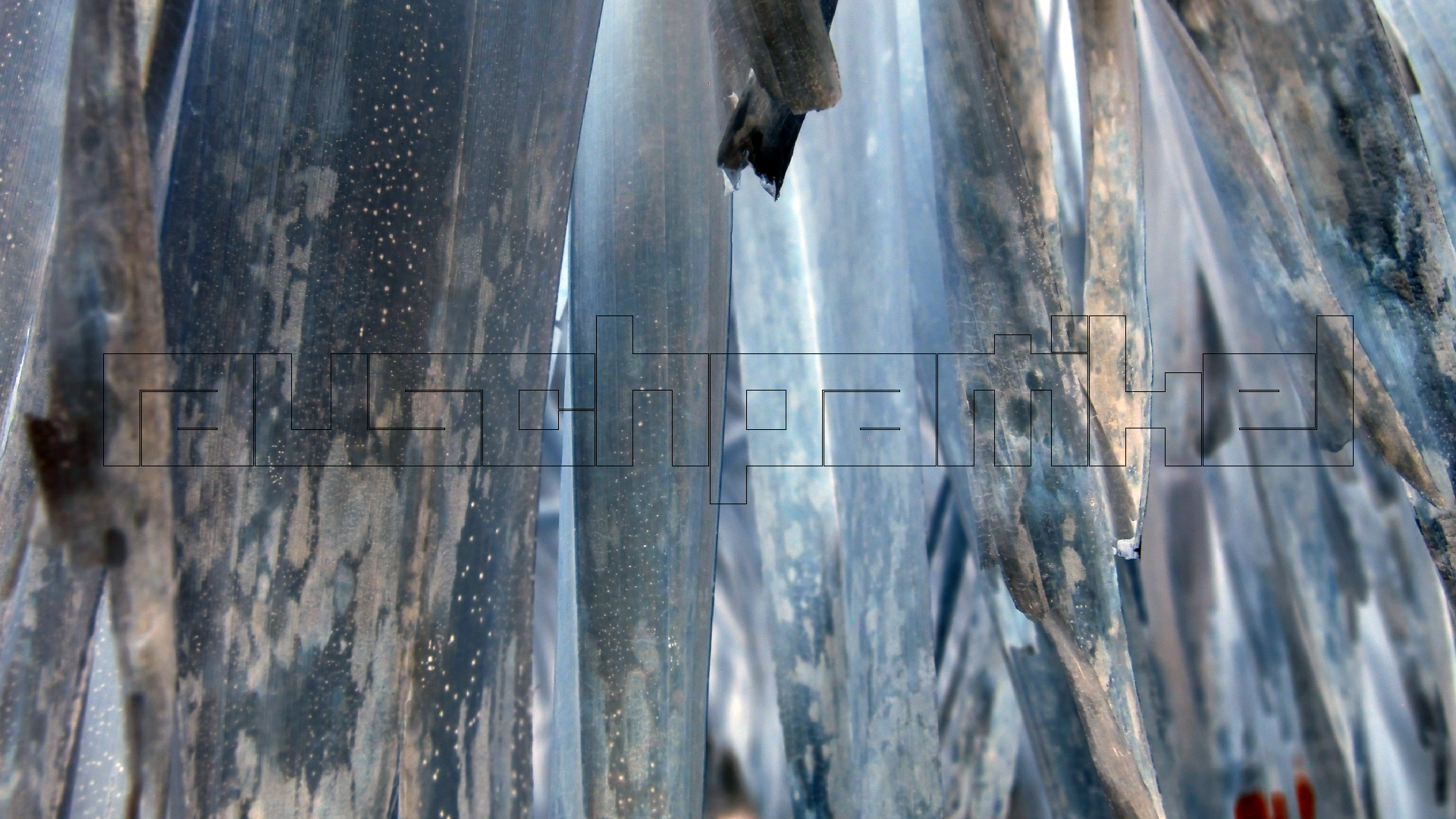 2022-04-25 Cas Abao (Foto)