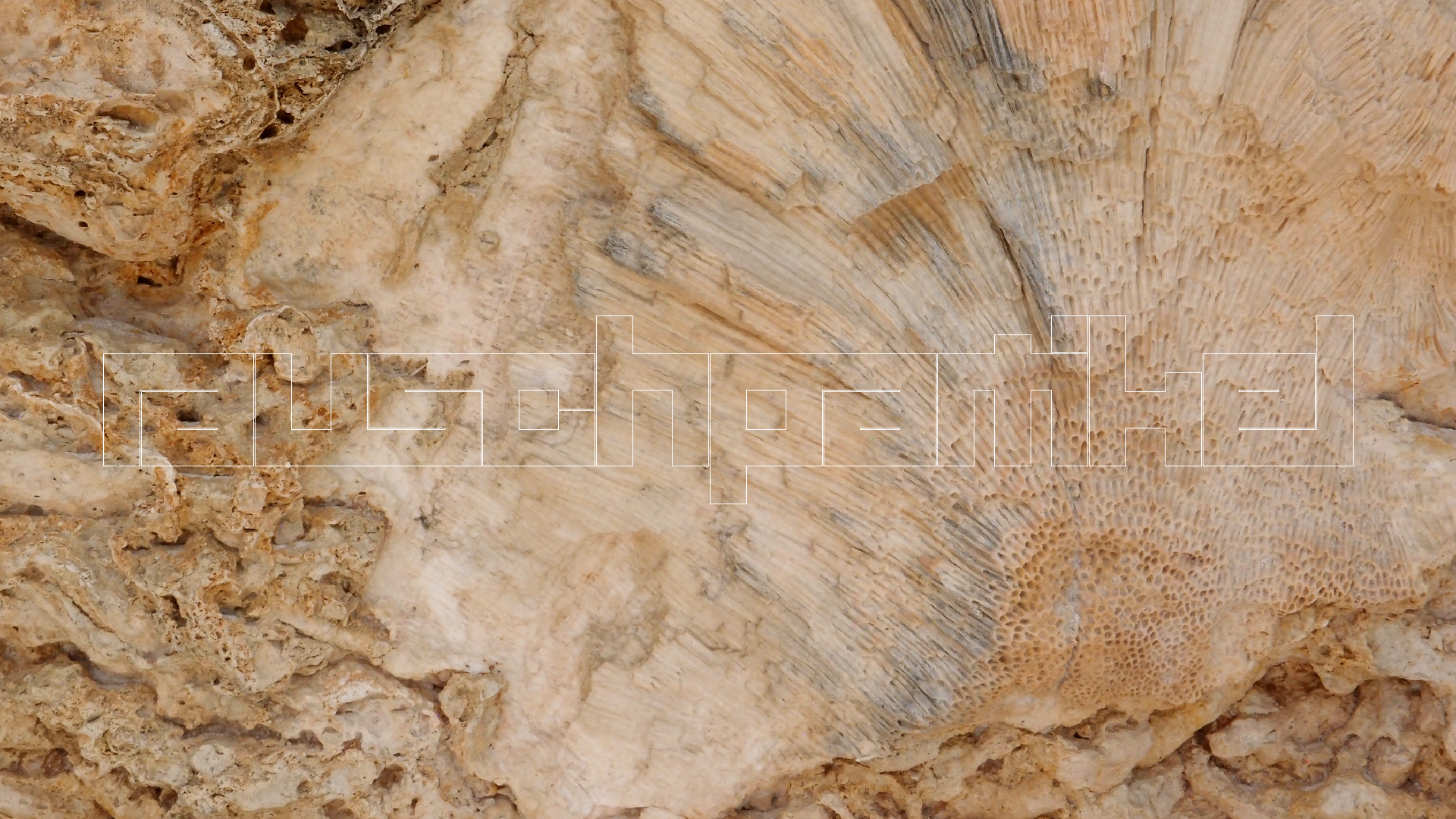 2022-04-25 Cas Abao (Foto)