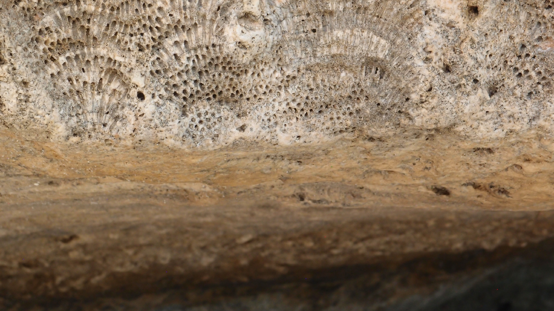 2022-04-25 Cas Abao (Foto)