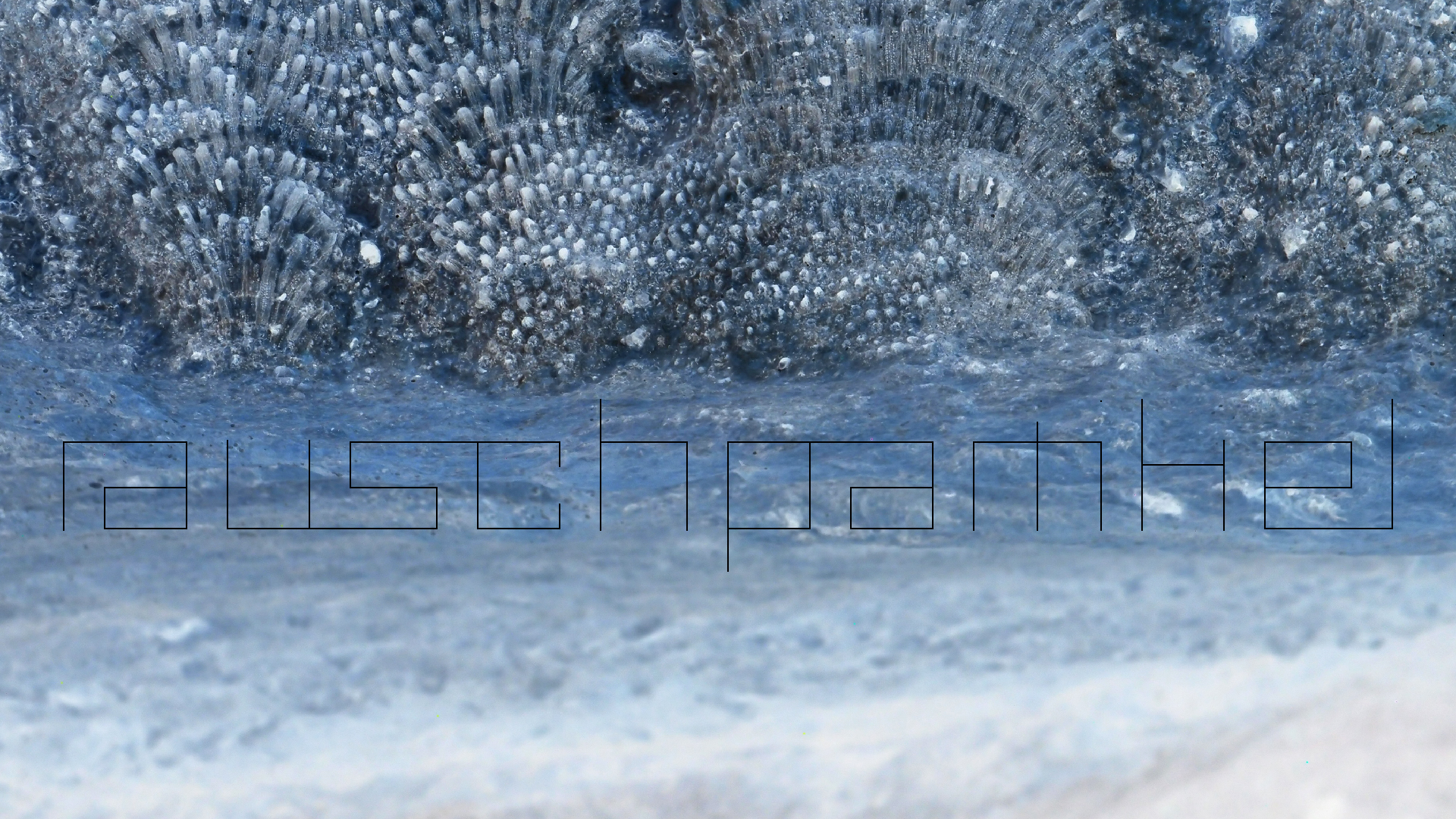 2022-04-25 Cas Abao (Foto)