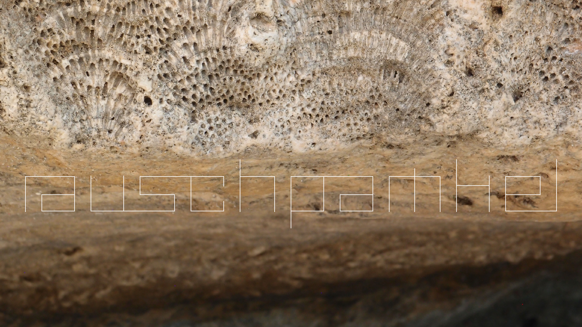 2022-04-25 Cas Abao (Foto)