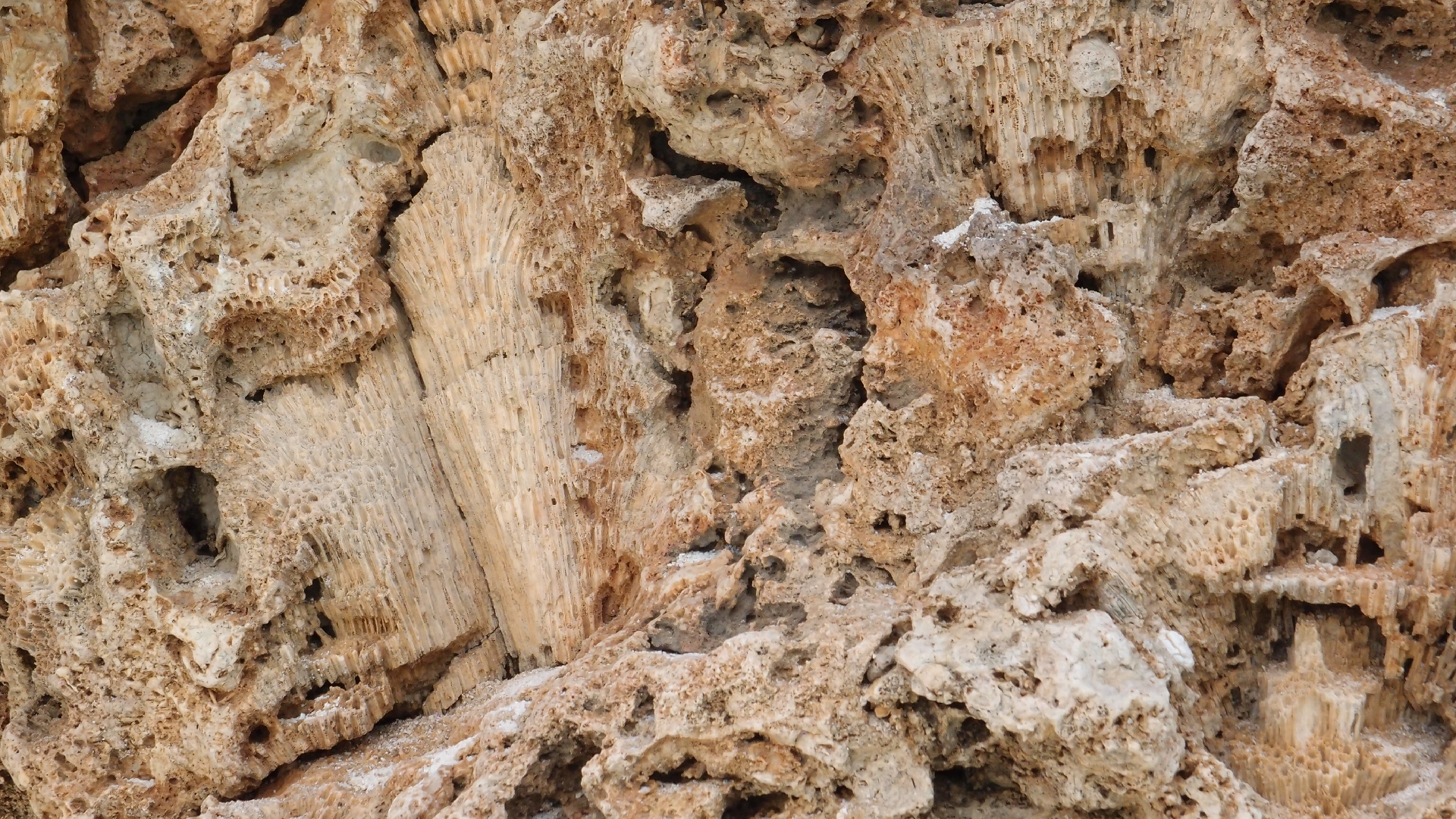 2022-04-25 Cas Abao (Foto)