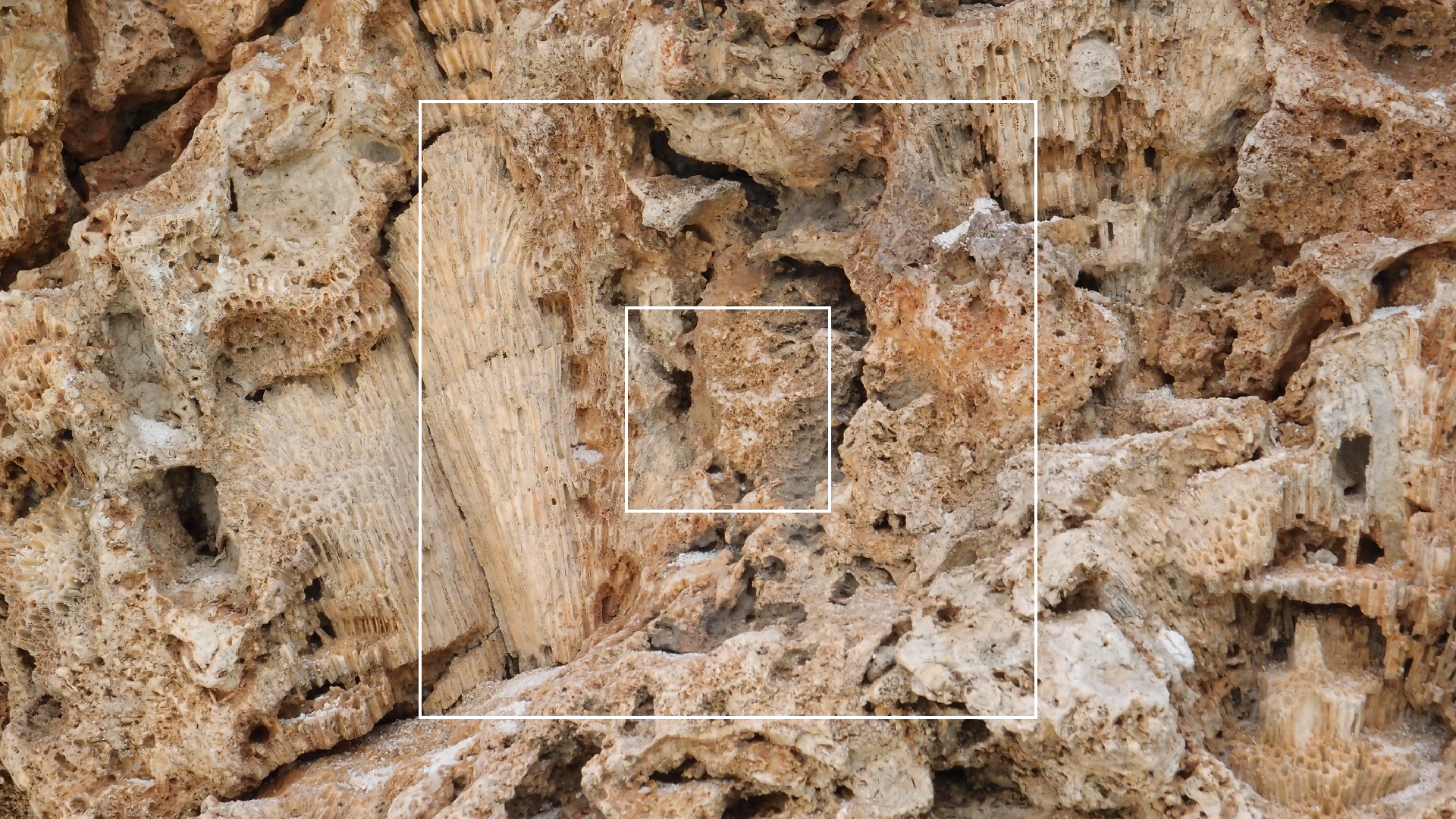 2022-04-25 Cas Abao (Foto)