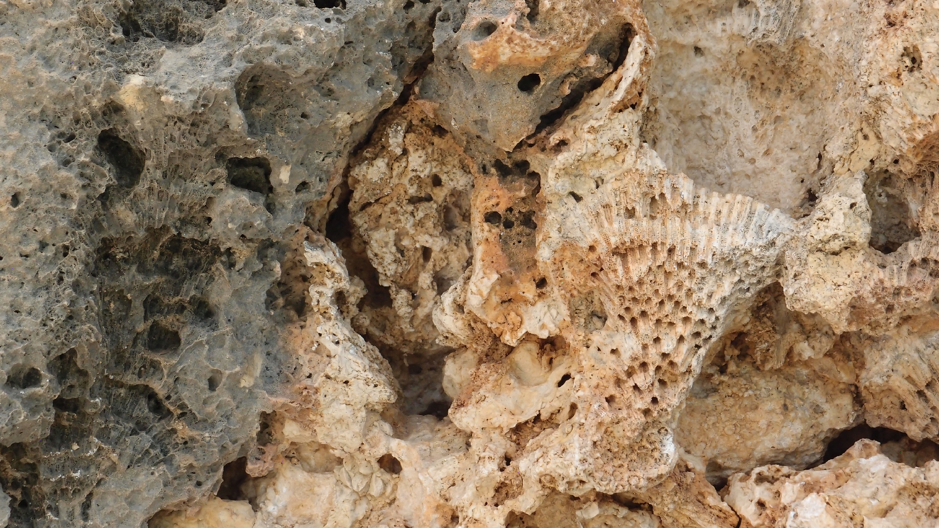 2022-04-25 Cas Abao (Foto)