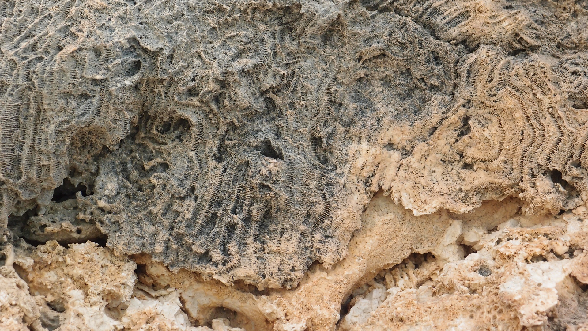 2022-04-25 Cas Abao (Foto)