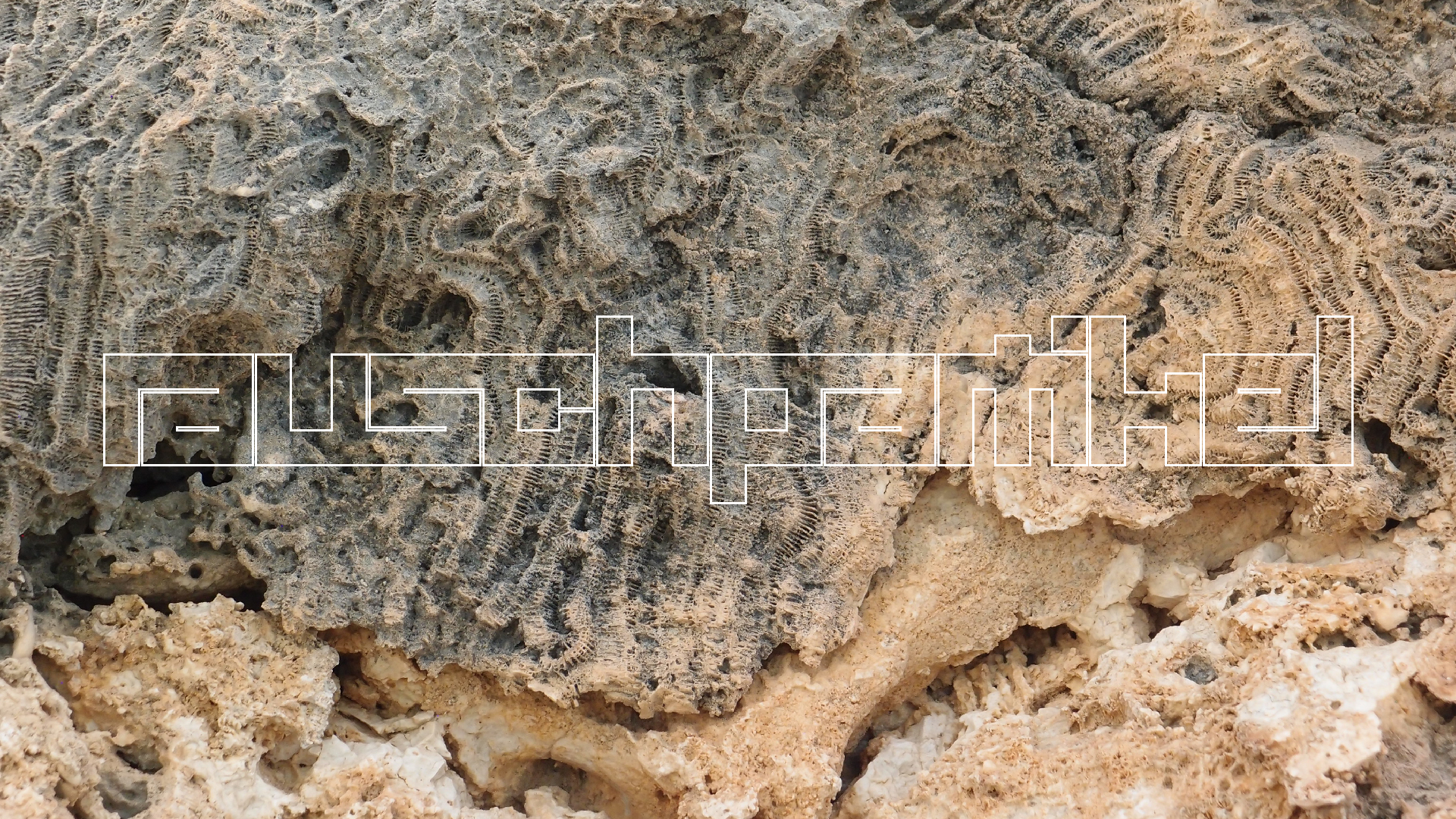 2022-04-25 Cas Abao (Foto)