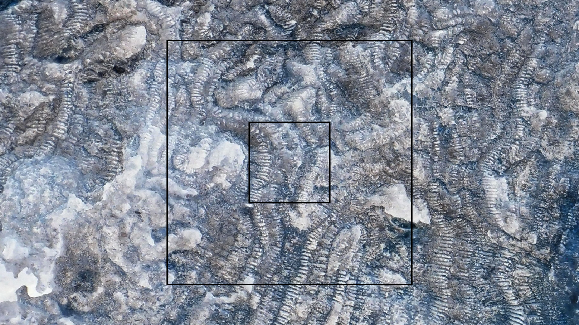 2022-04-25 Cas Abao (Foto)