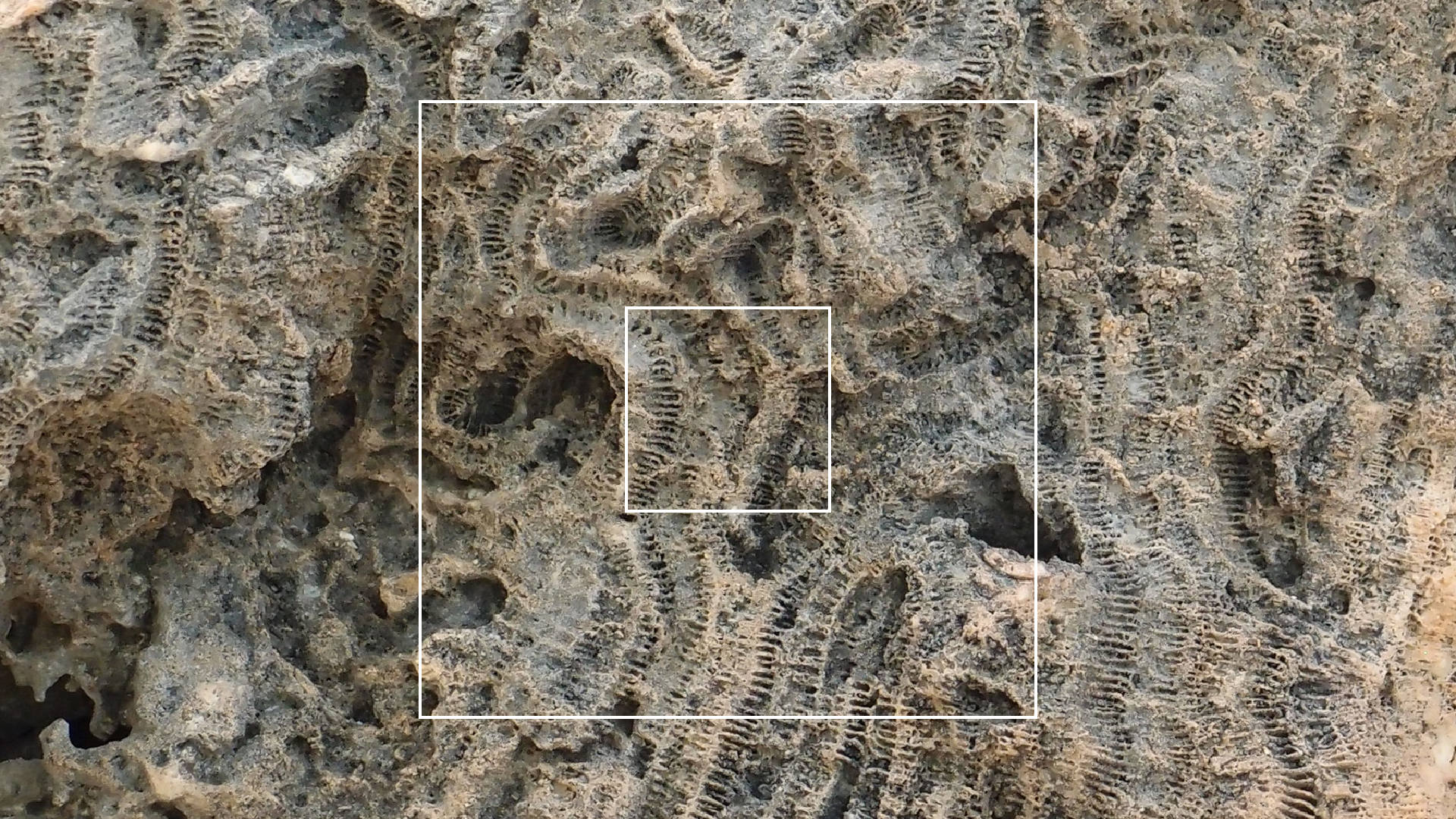 2022-04-25 Cas Abao (Foto)