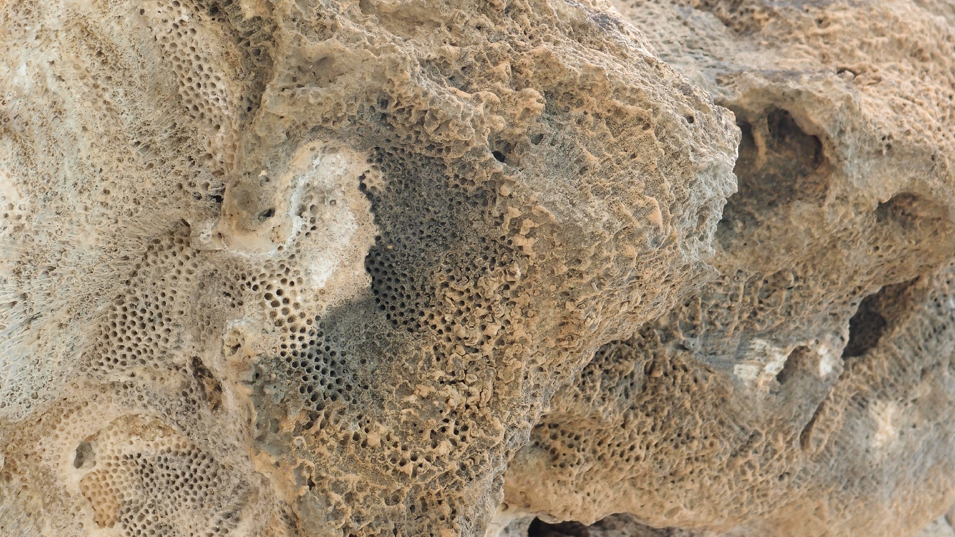 2022-04-25 Cas Abao (Foto)