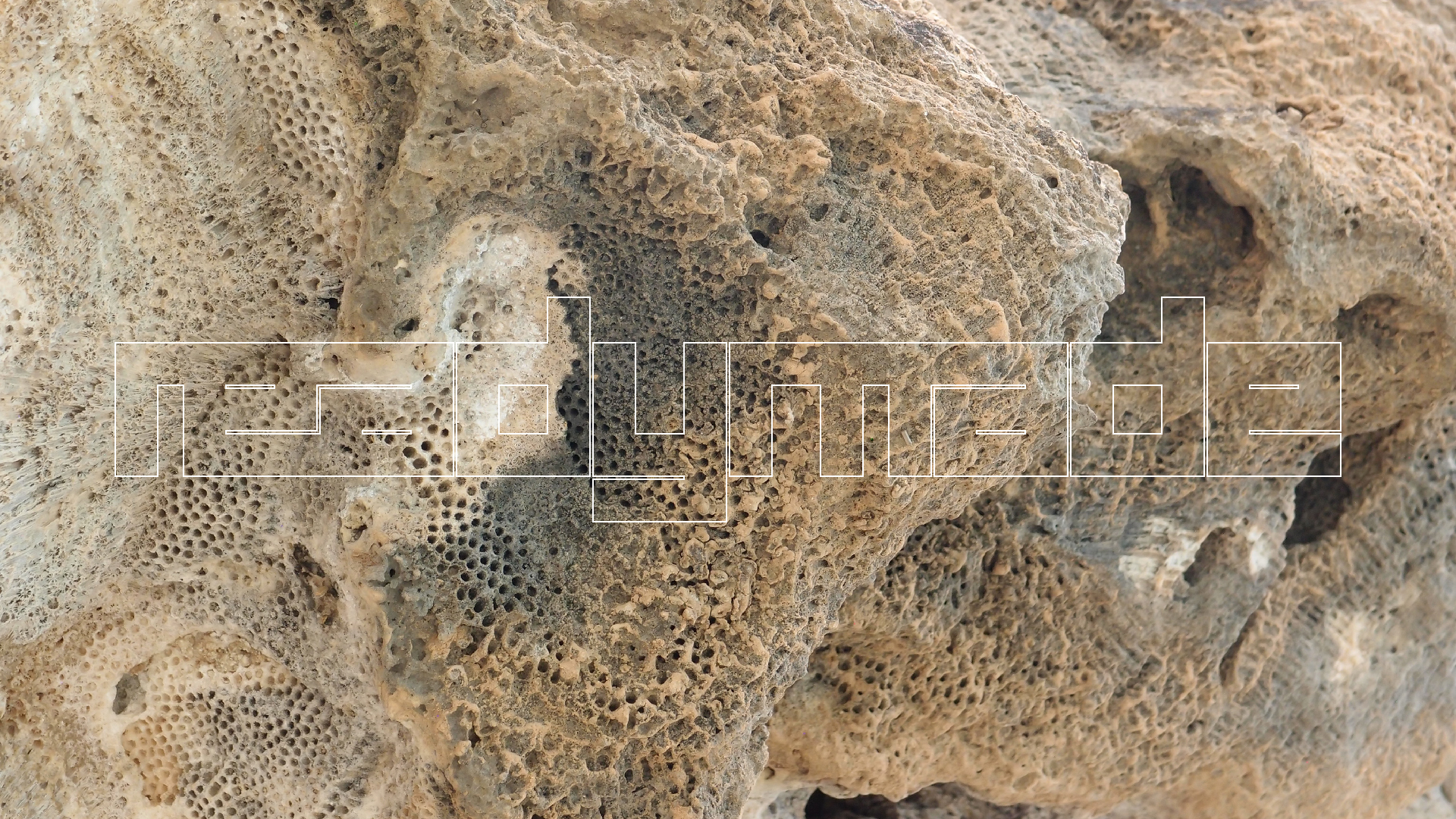 2022-04-25 Cas Abao (Foto)