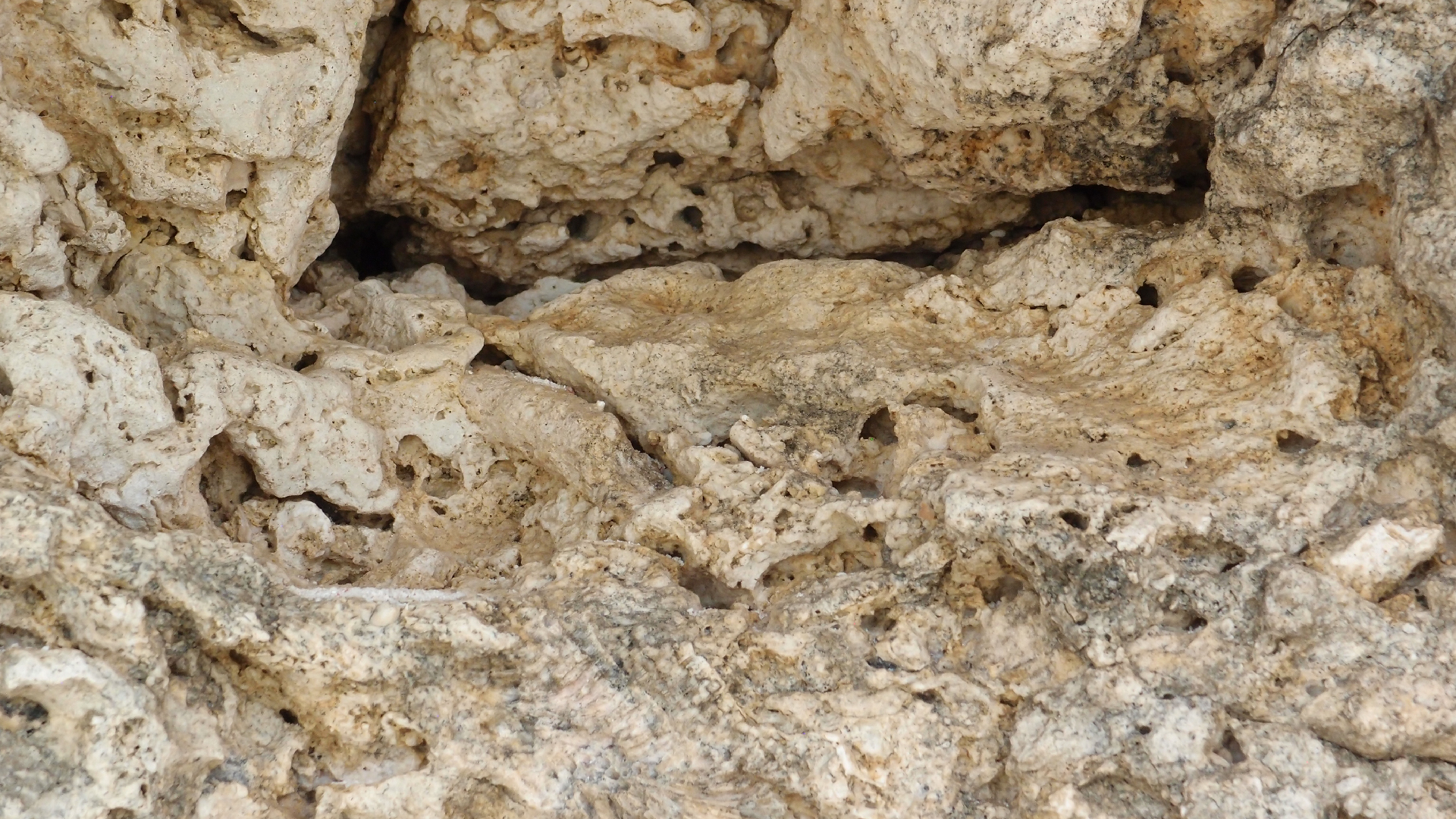 2022-04-25 Cas Abao (Foto)