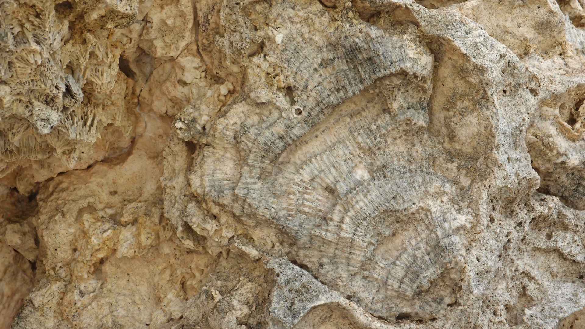 2022-04-25 Cas Abao (Foto)