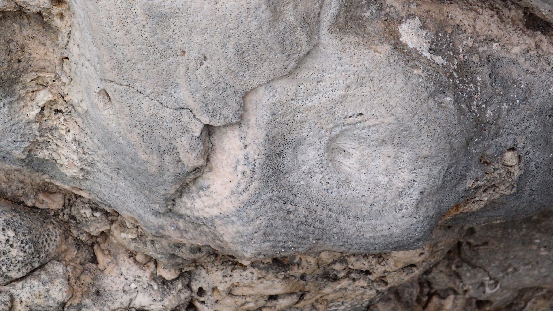 2022-04-25 Cas Abao (Foto)