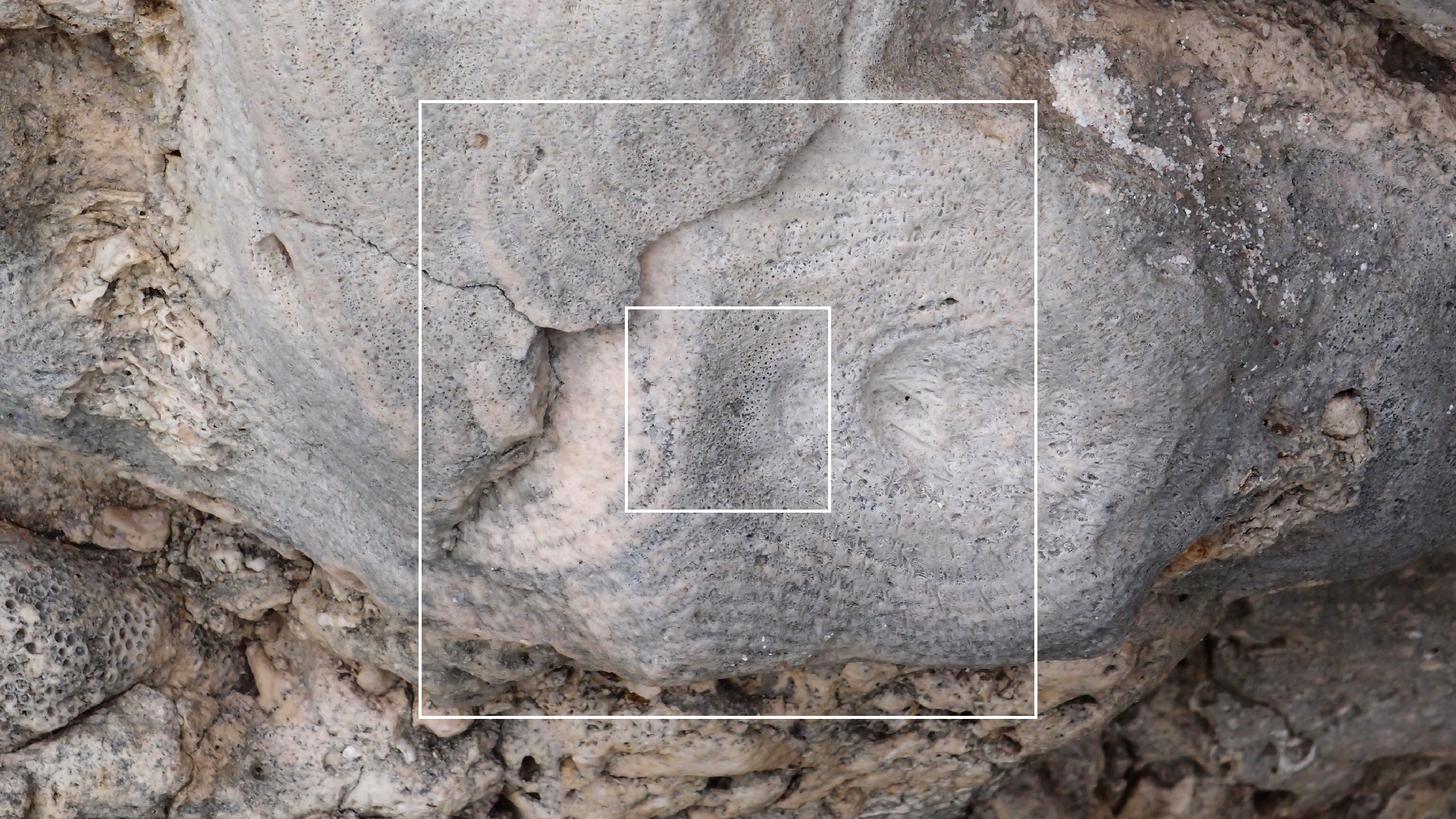 2022-04-25 Cas Abao (Foto)