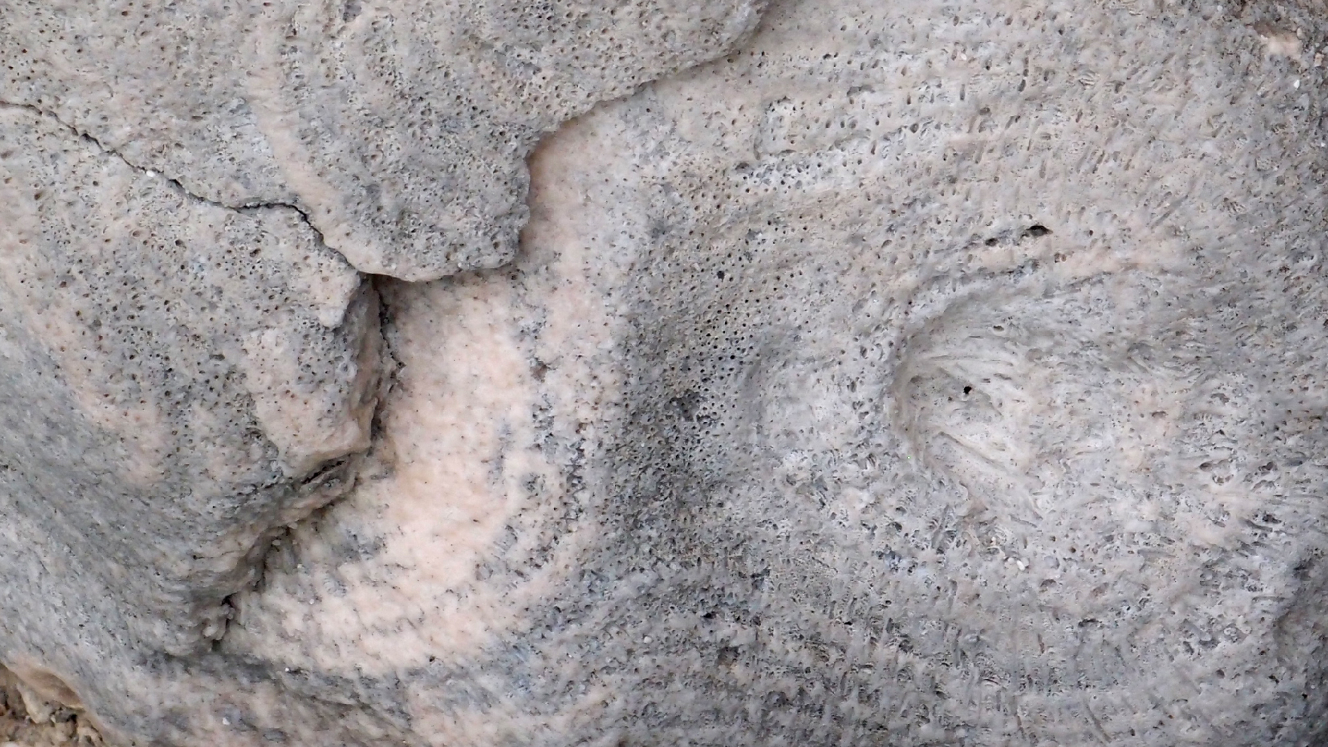 2022-04-25 Cas Abao (Foto)