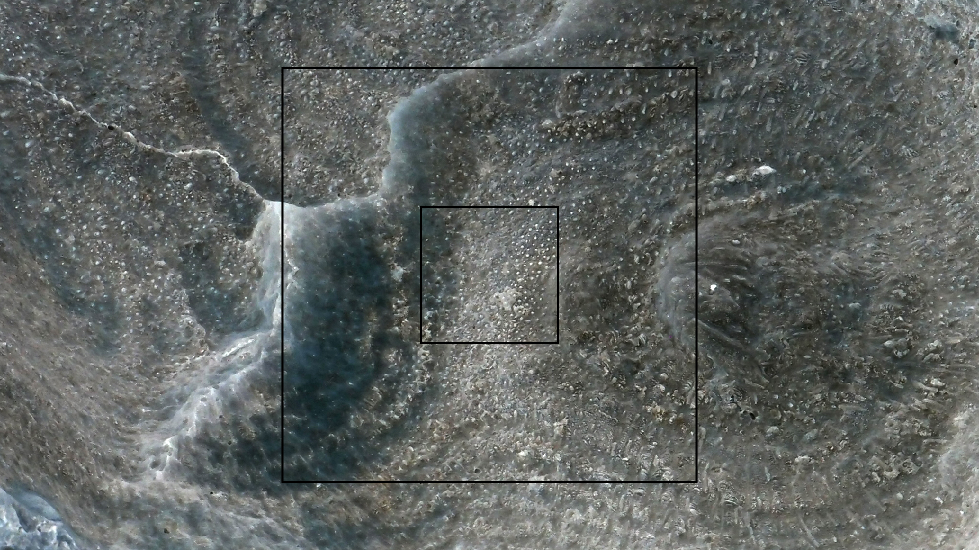 2022-04-25 Cas Abao (Foto)