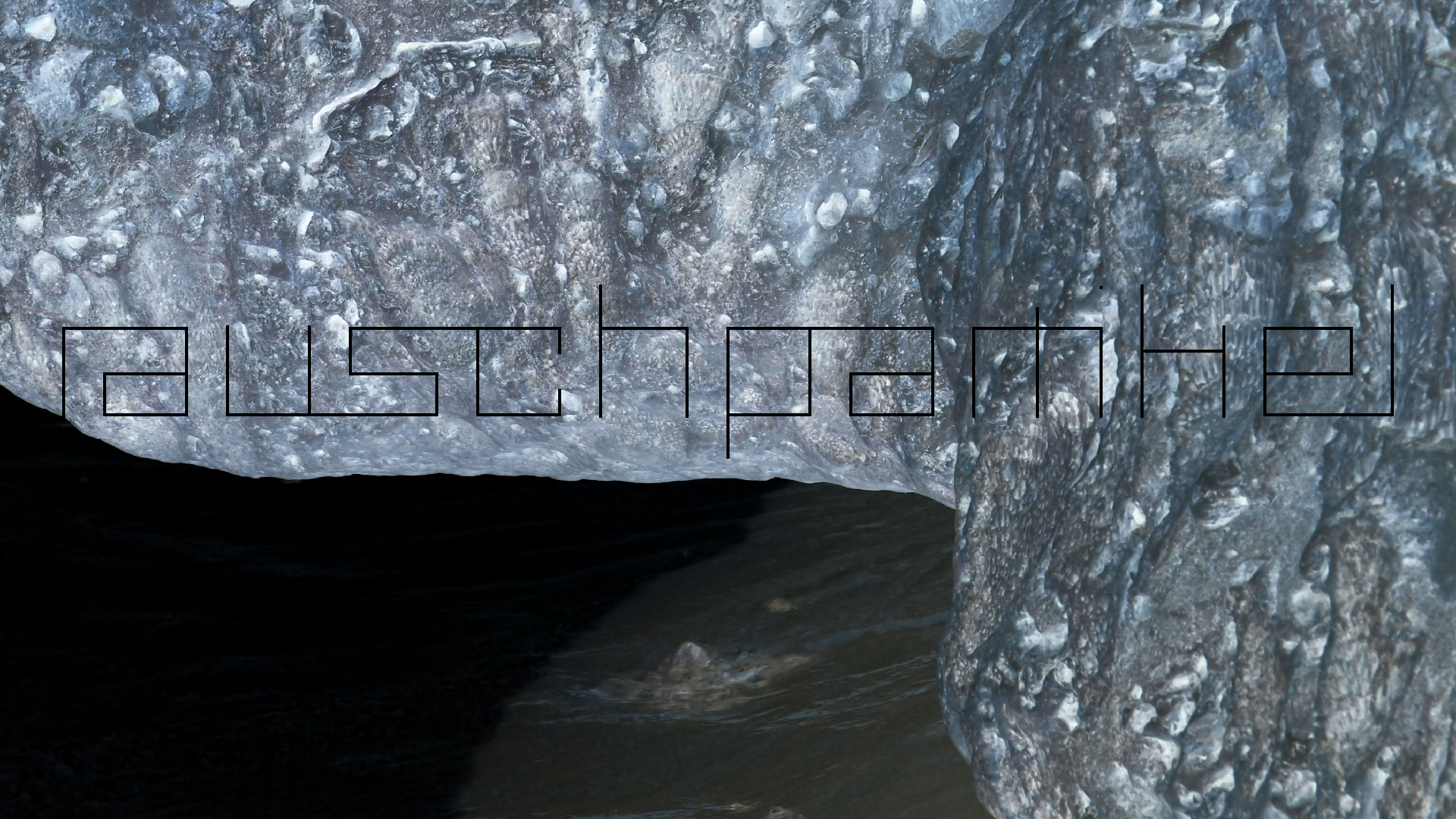 2022-04-25 Cas Abao (Foto)