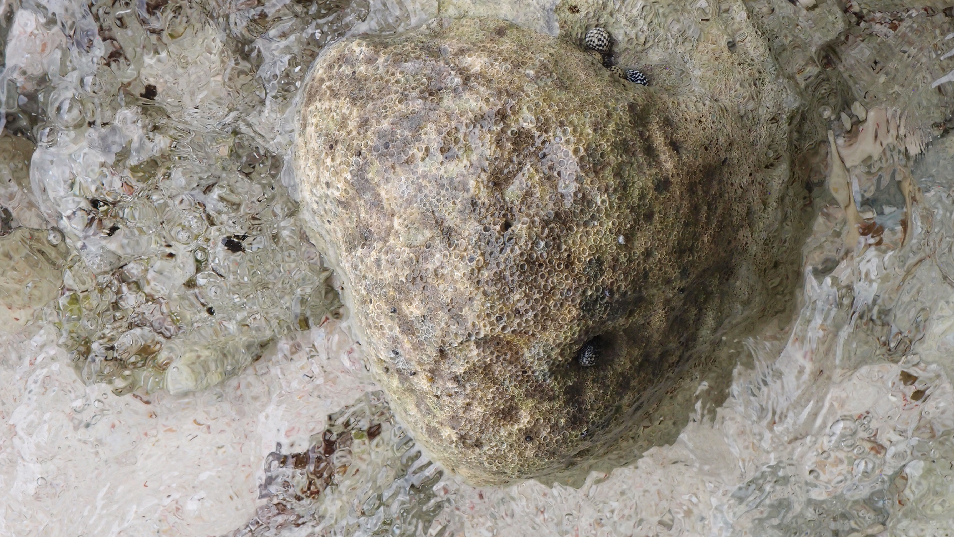 2022-04-25 Cas Abao (Foto)