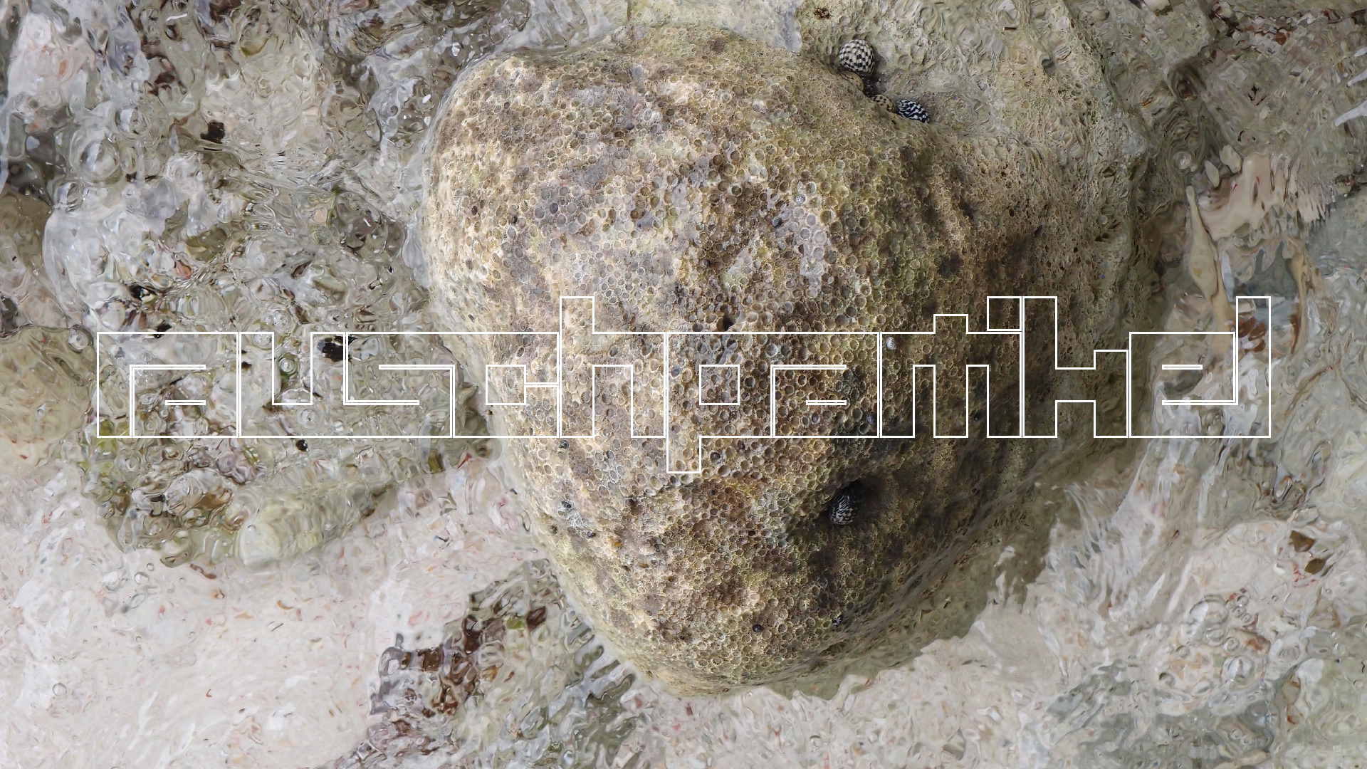 2022-04-25 Cas Abao (Foto)