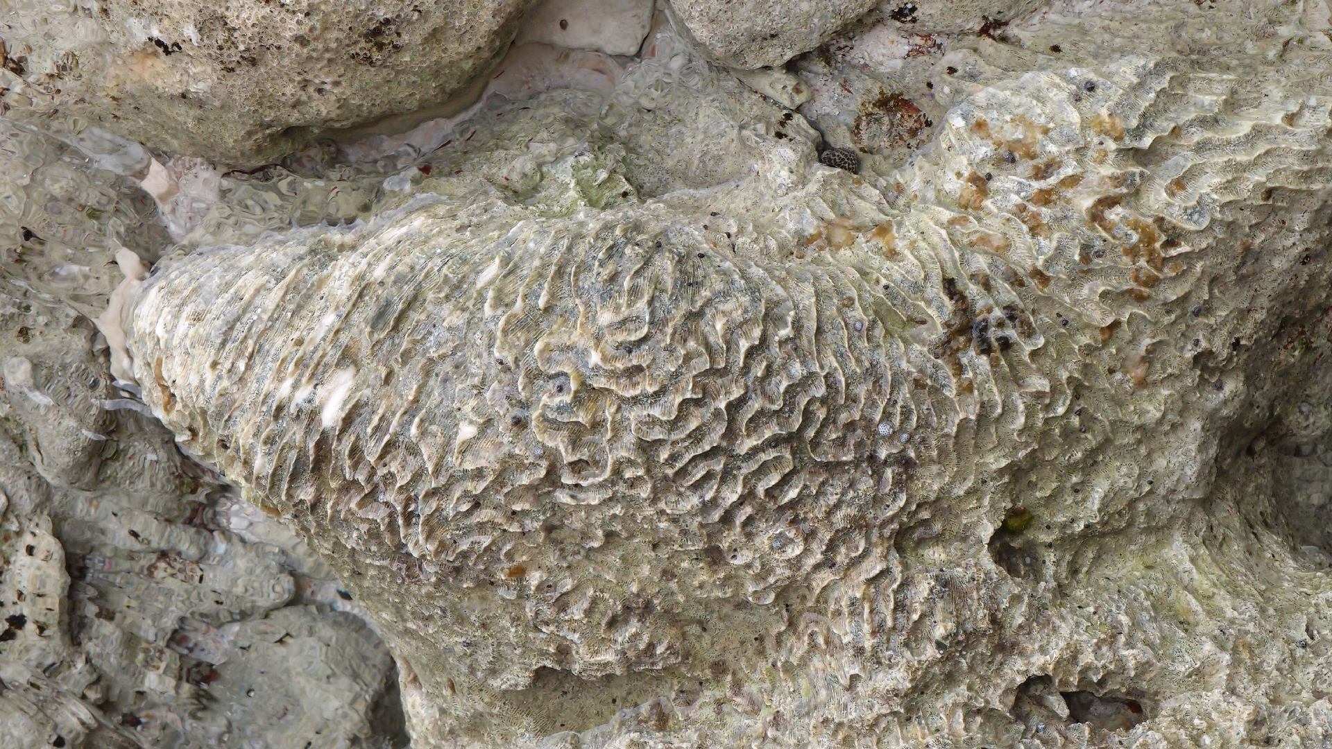 2022-04-25 Cas Abao (Foto)