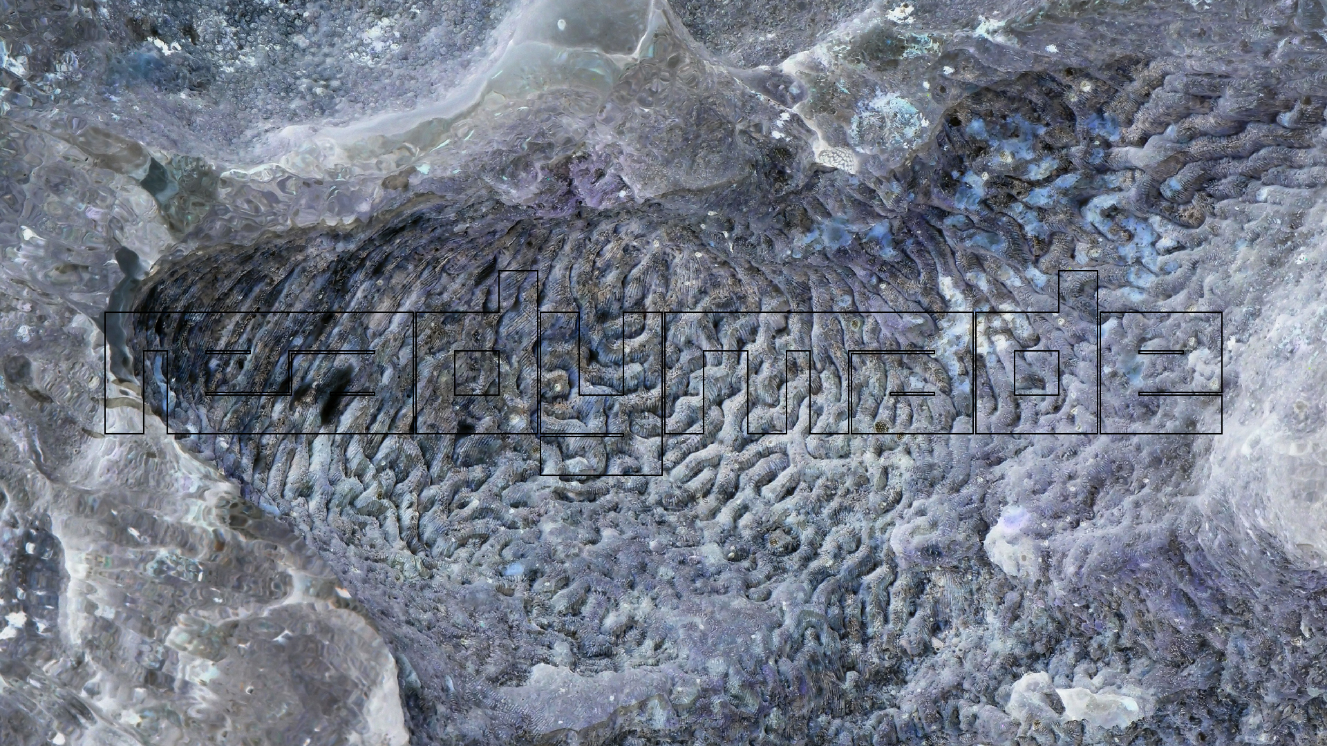 2022-04-25 Cas Abao (Foto)