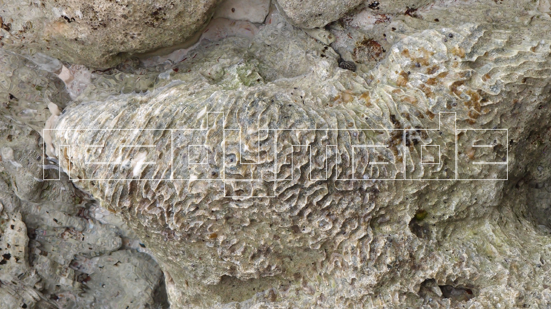 2022-04-25 Cas Abao (Foto)