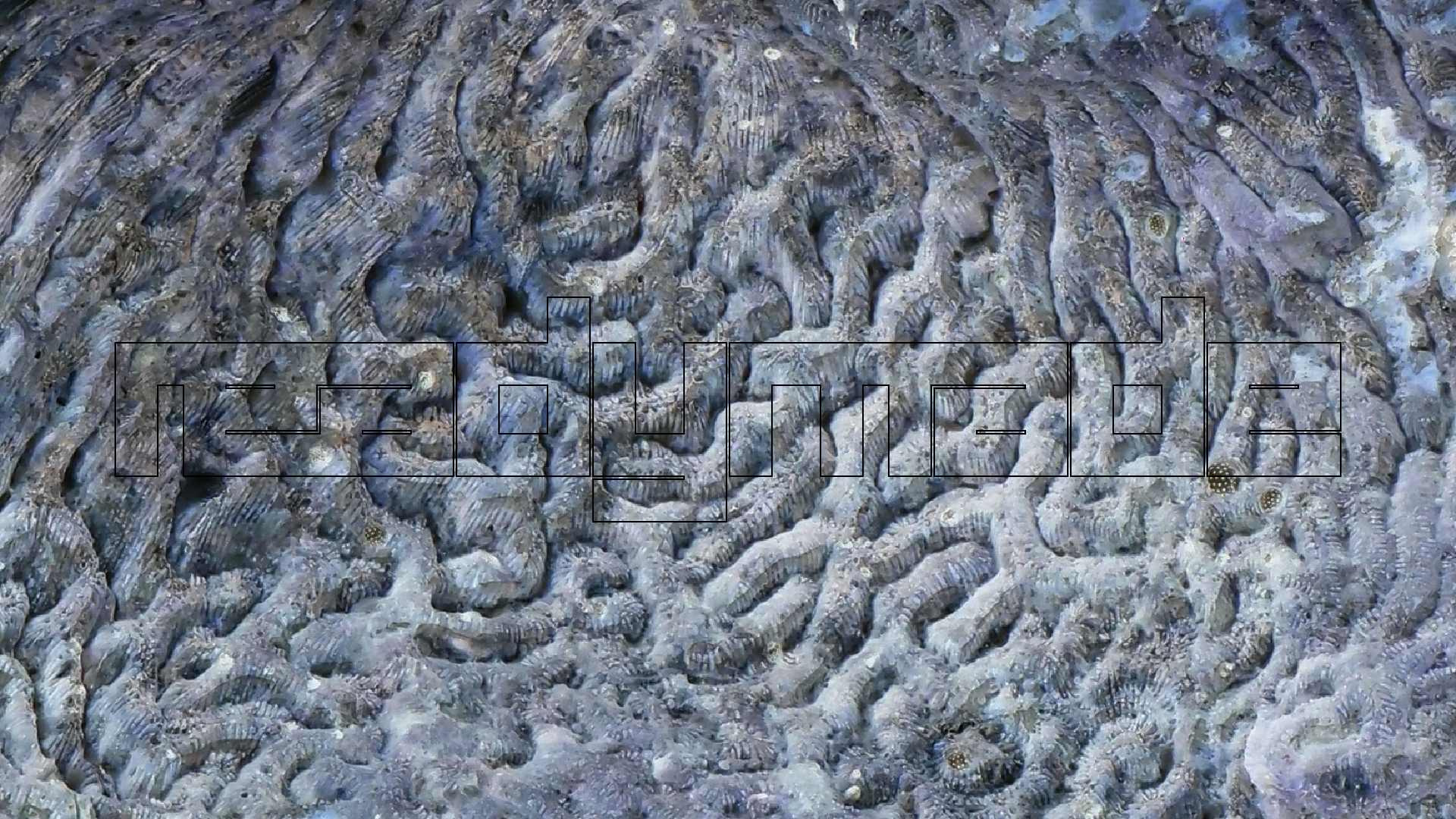 2022-04-25 Cas Abao (Foto)