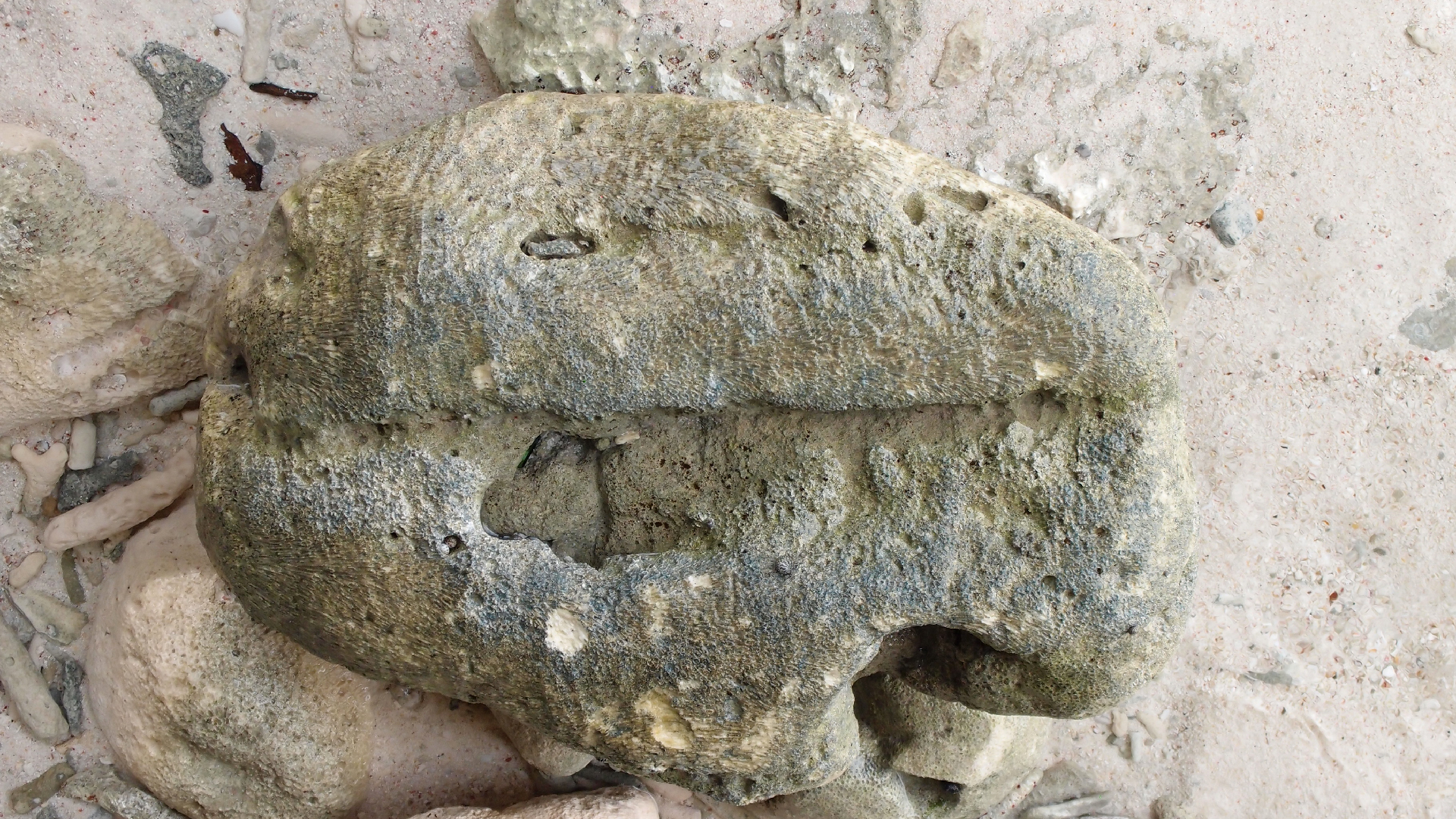 2022-04-25 Cas Abao (Foto)