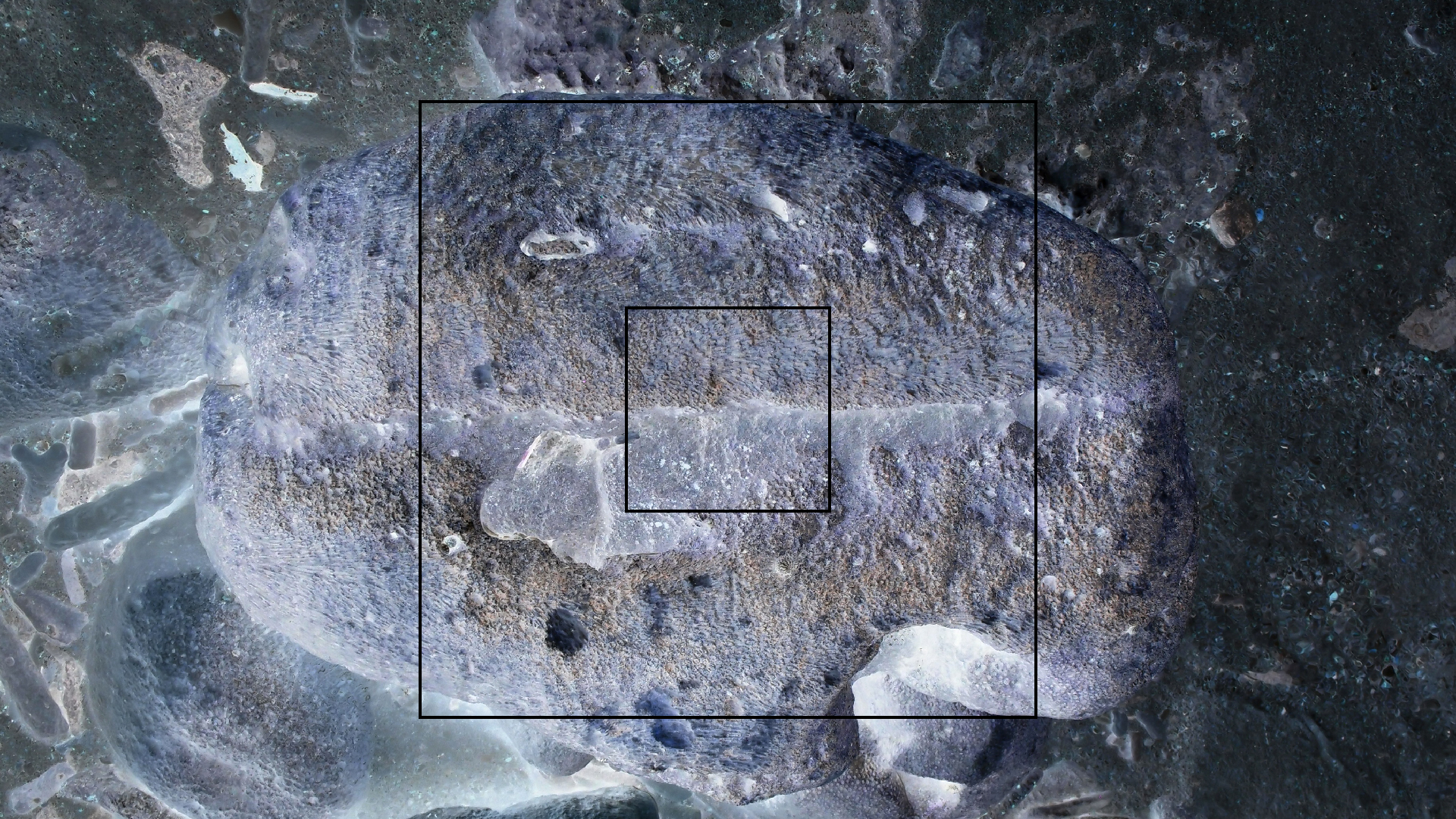 2022-04-25 Cas Abao (Foto)