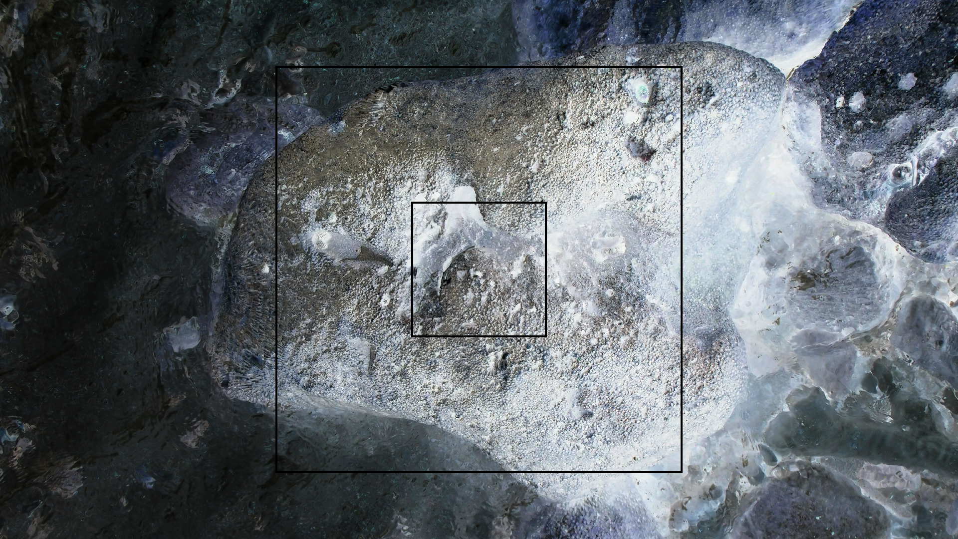 2022-04-25 Cas Abao (Foto)