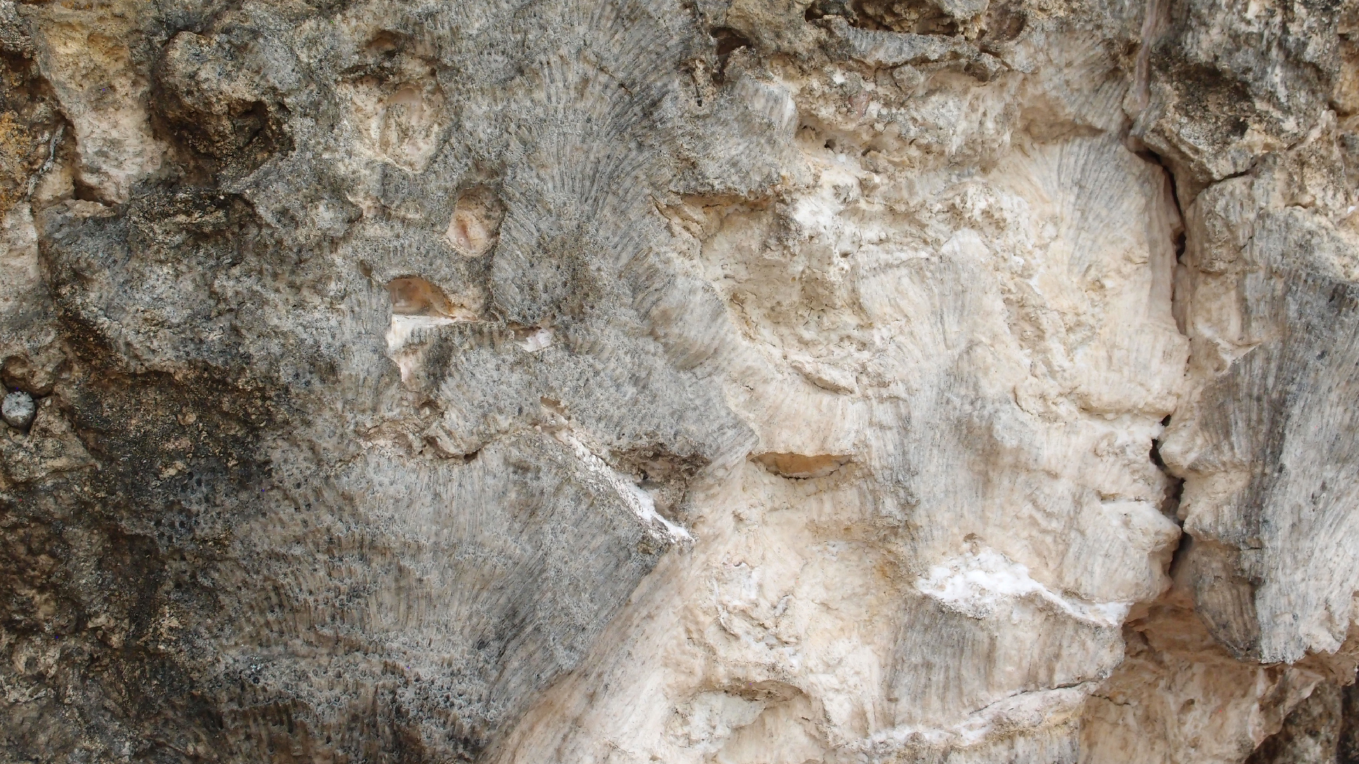 2022-04-25 Cas Abao (Foto)