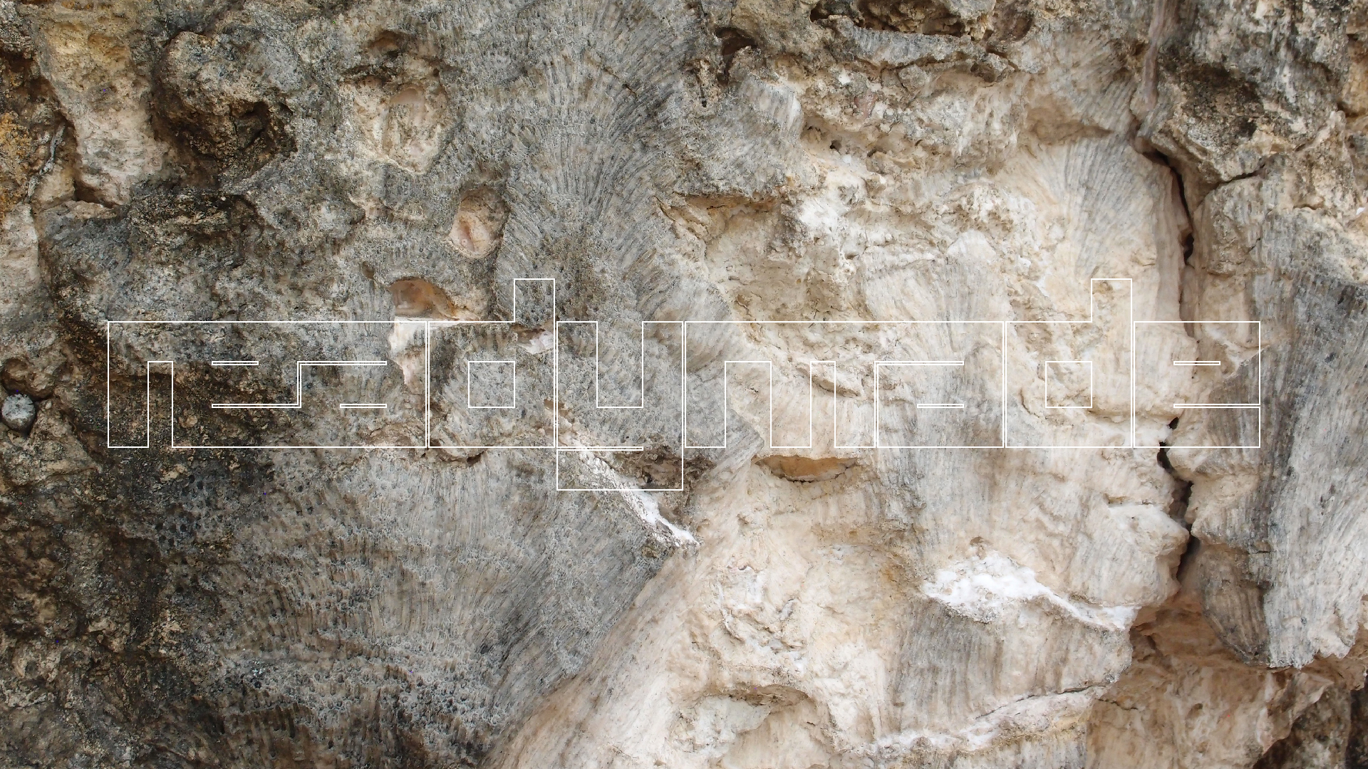 2022-04-25 Cas Abao (Foto)