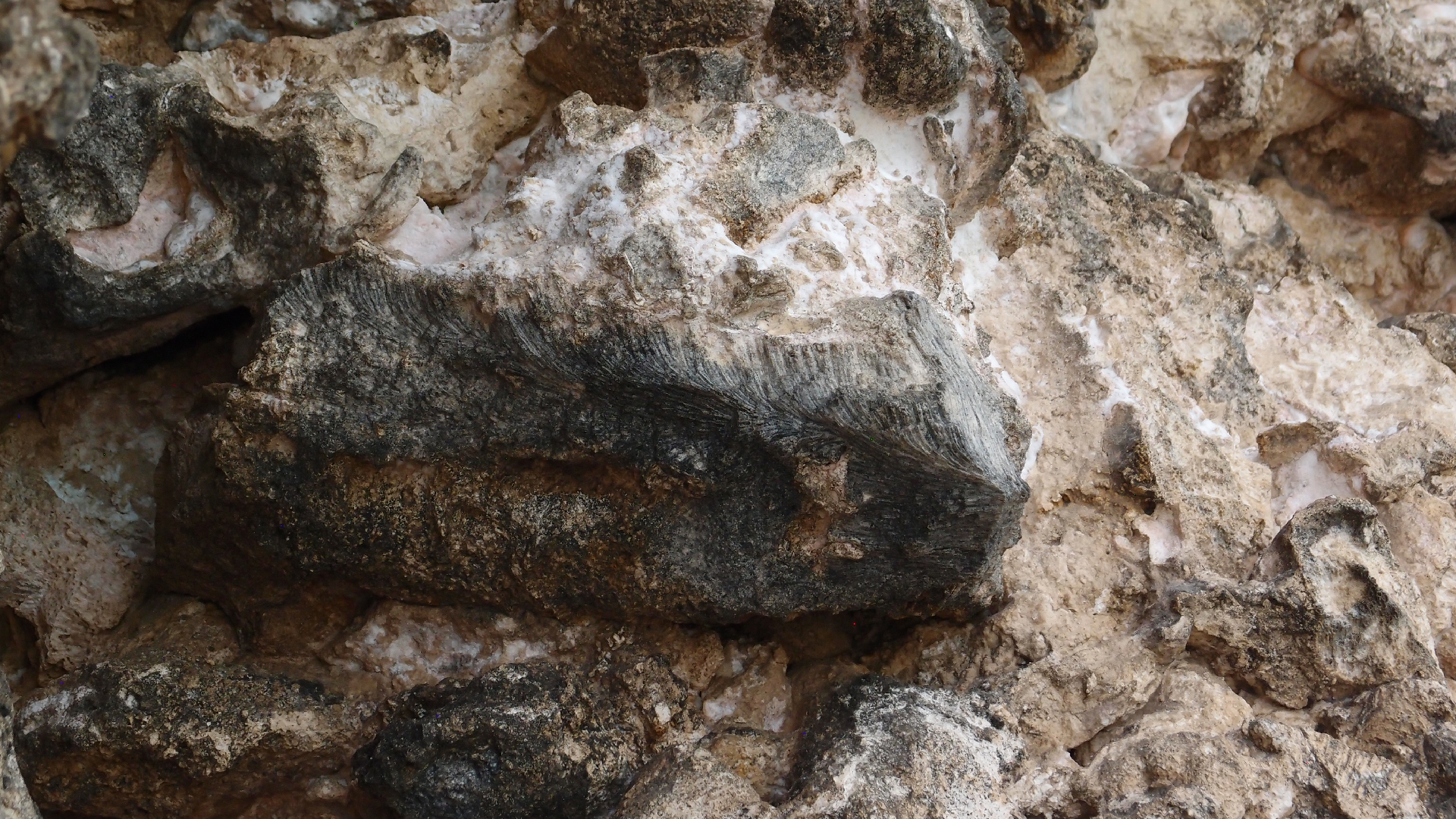 2022-04-25 Cas Abao (Foto)