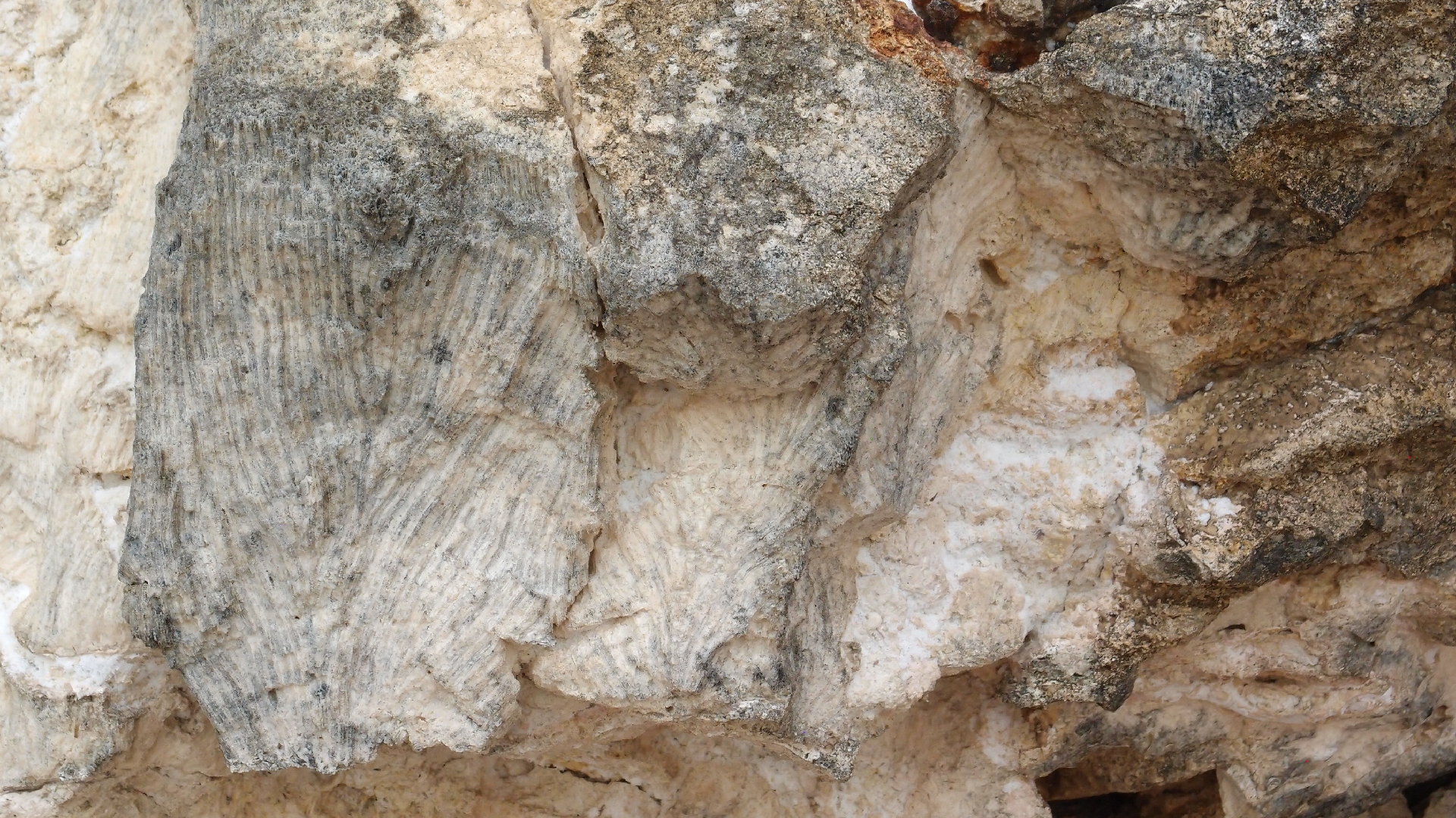 2022-04-25 Cas Abao (Foto)