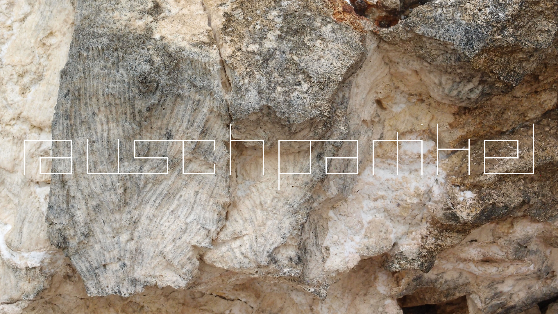 2022-04-25 Cas Abao (Foto)