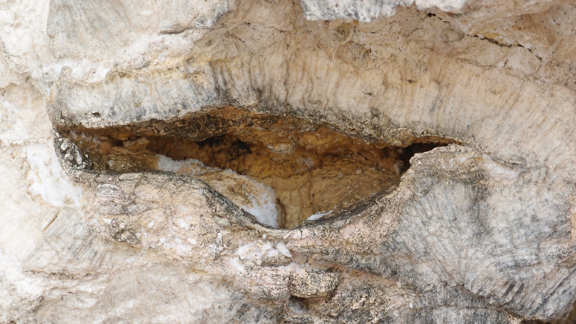 2022-04-25 Cas Abao (Foto)