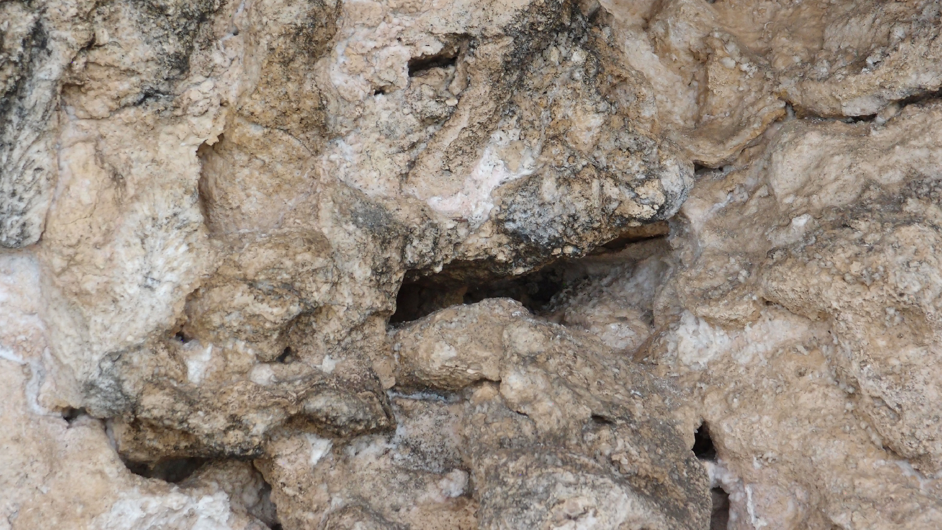 2022-04-25 Cas Abao (Foto)