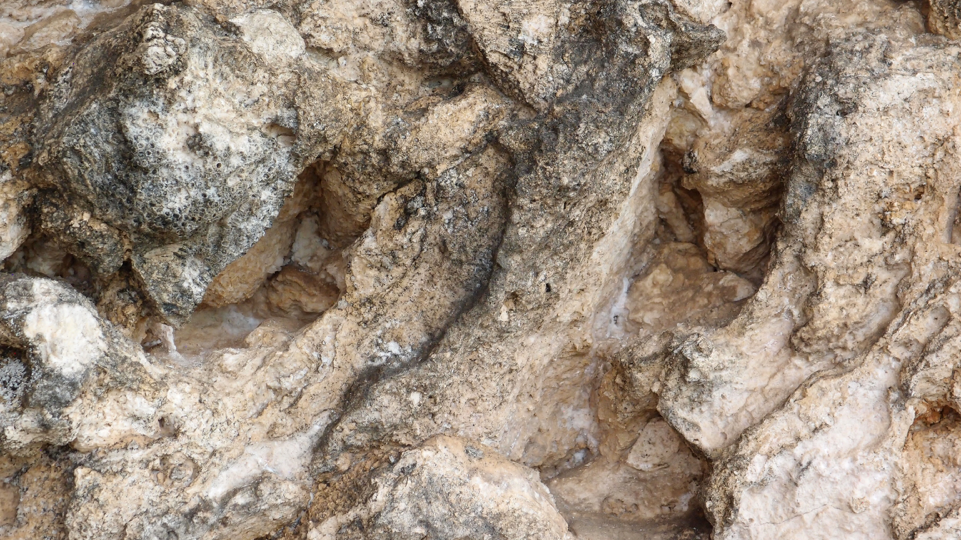 2022-04-25 Cas Abao (Foto)